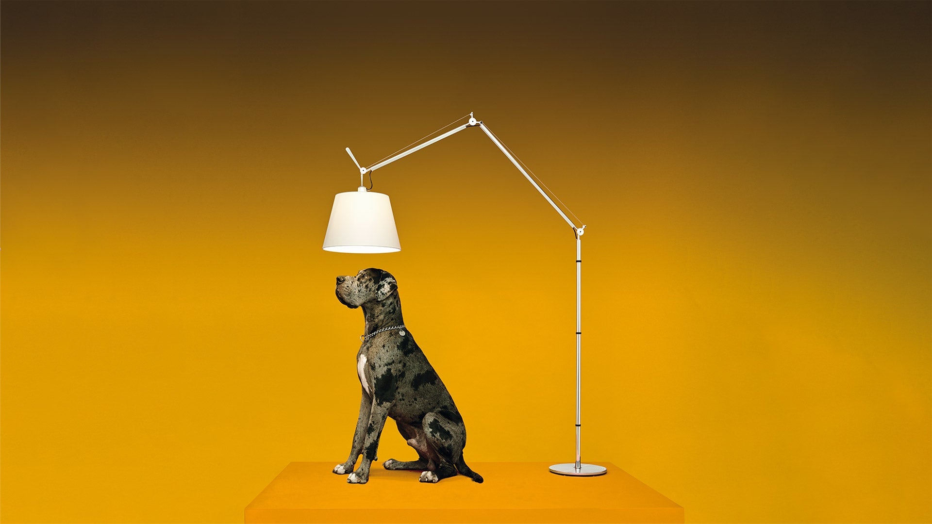 Artemide