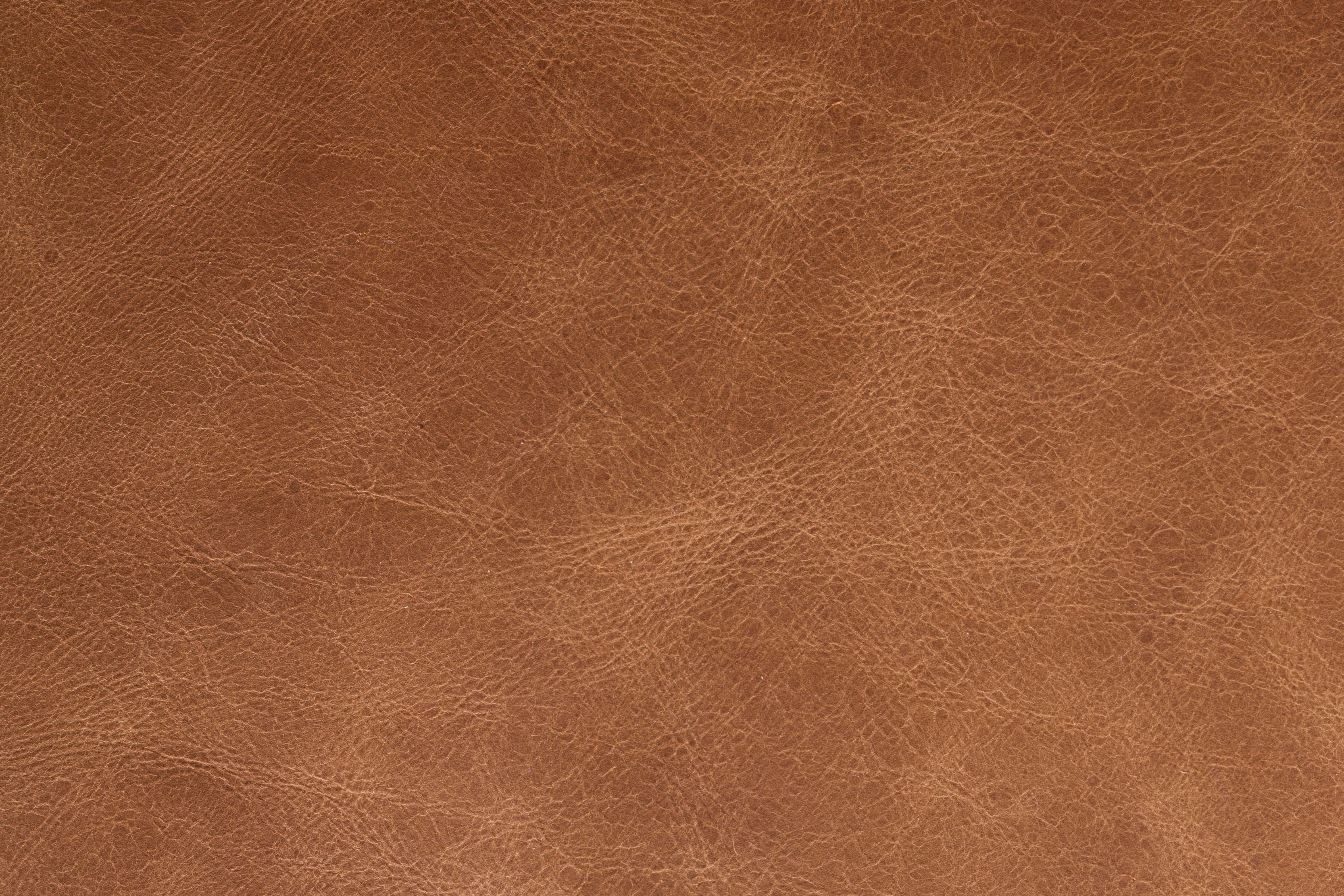 DOUGLAS sofa cognac leather