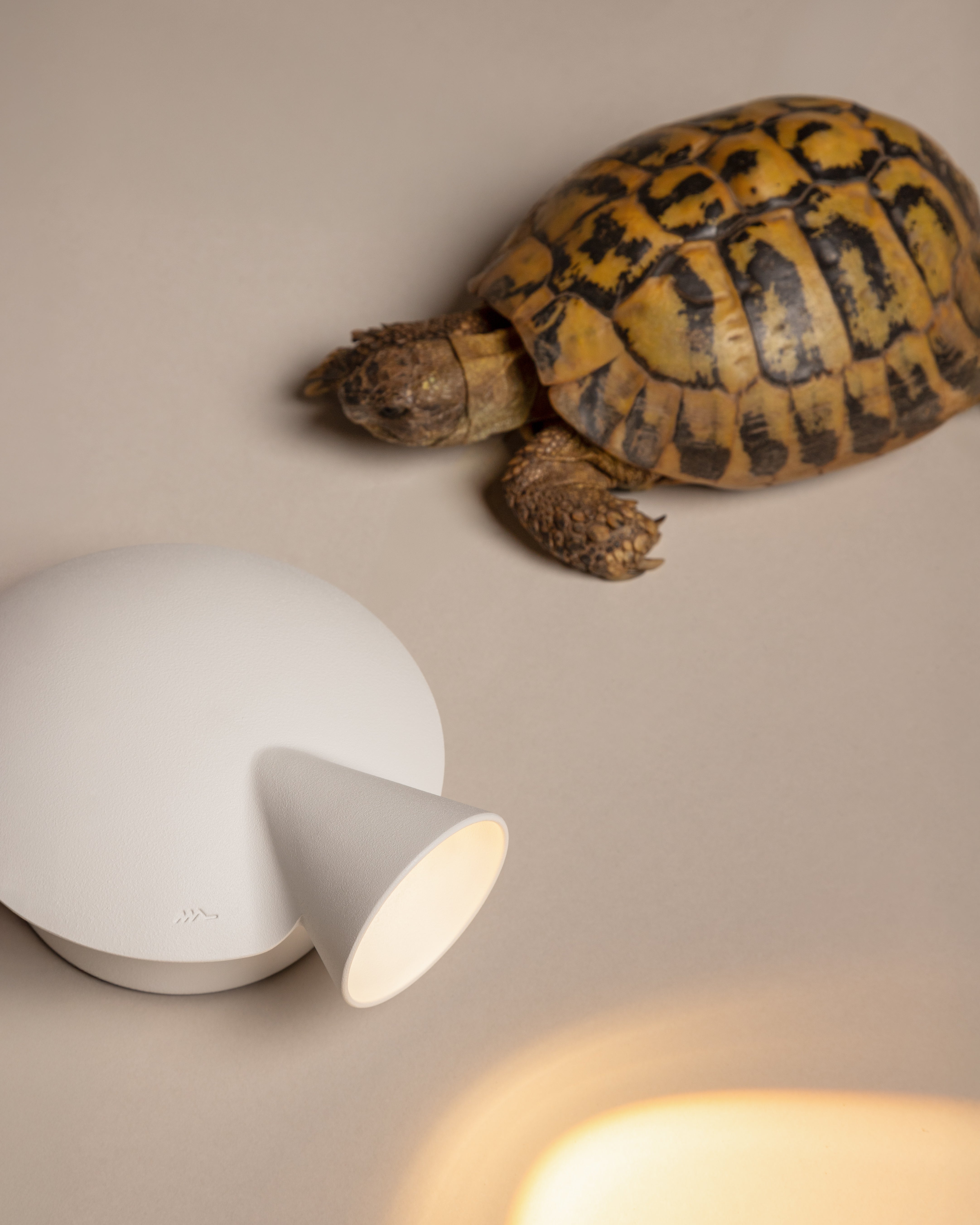 Lampa ścienna TORTUGA biały