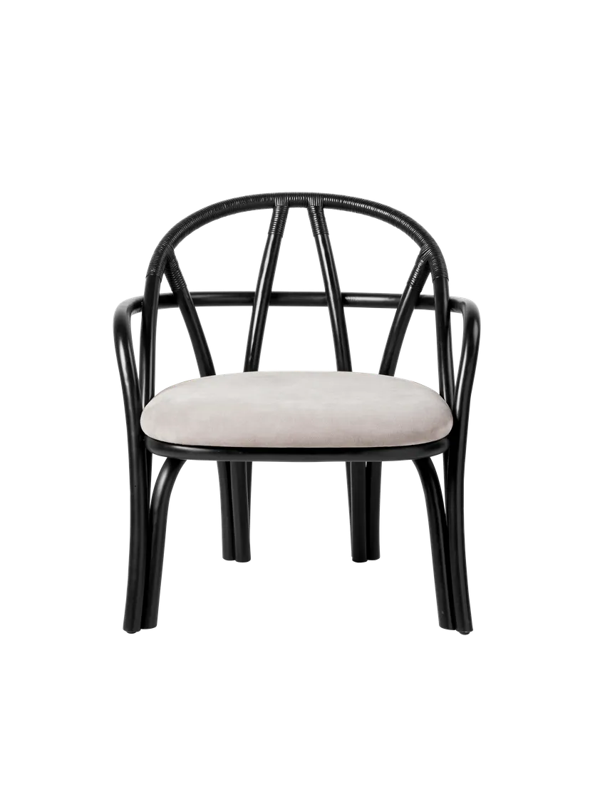 Sessel BISTRA gepolstert mit rattanfarbener Ebenholzgrundlage