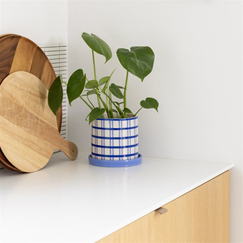 CLASH GRID pot in blue with white