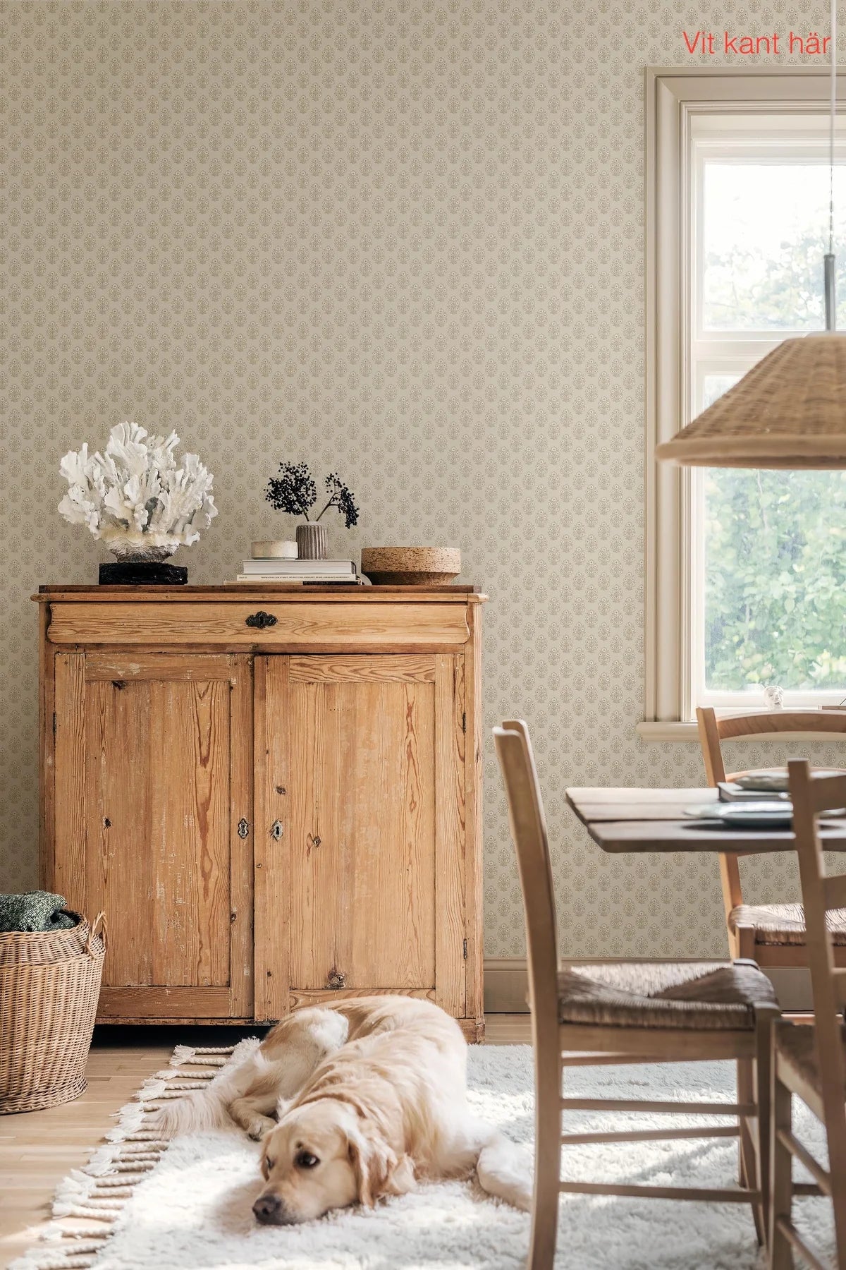 SIBYLLA Cream Floral Pattern Wallpaper with Beige