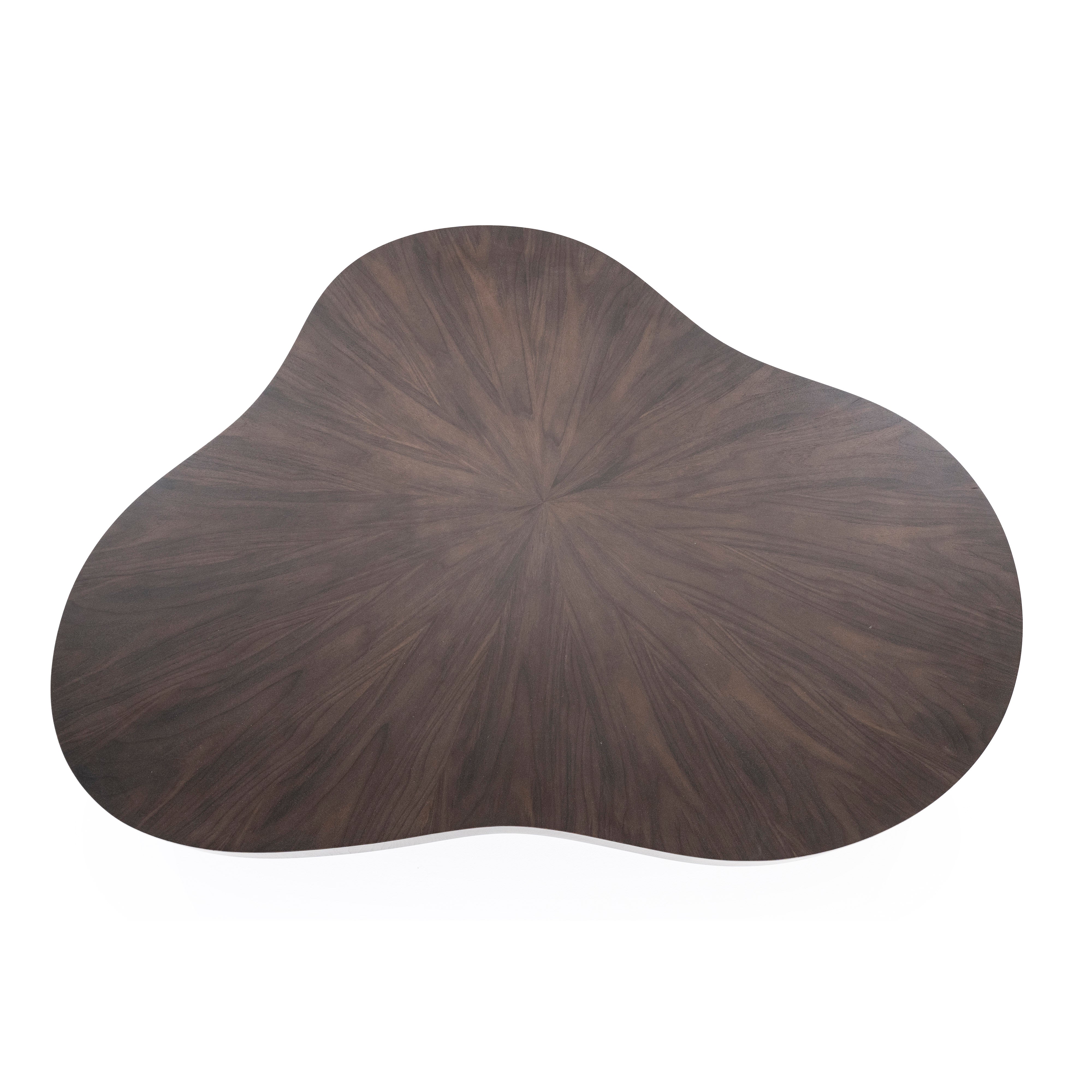 BOBBIE Dark Walnut Veneer Coffee Table