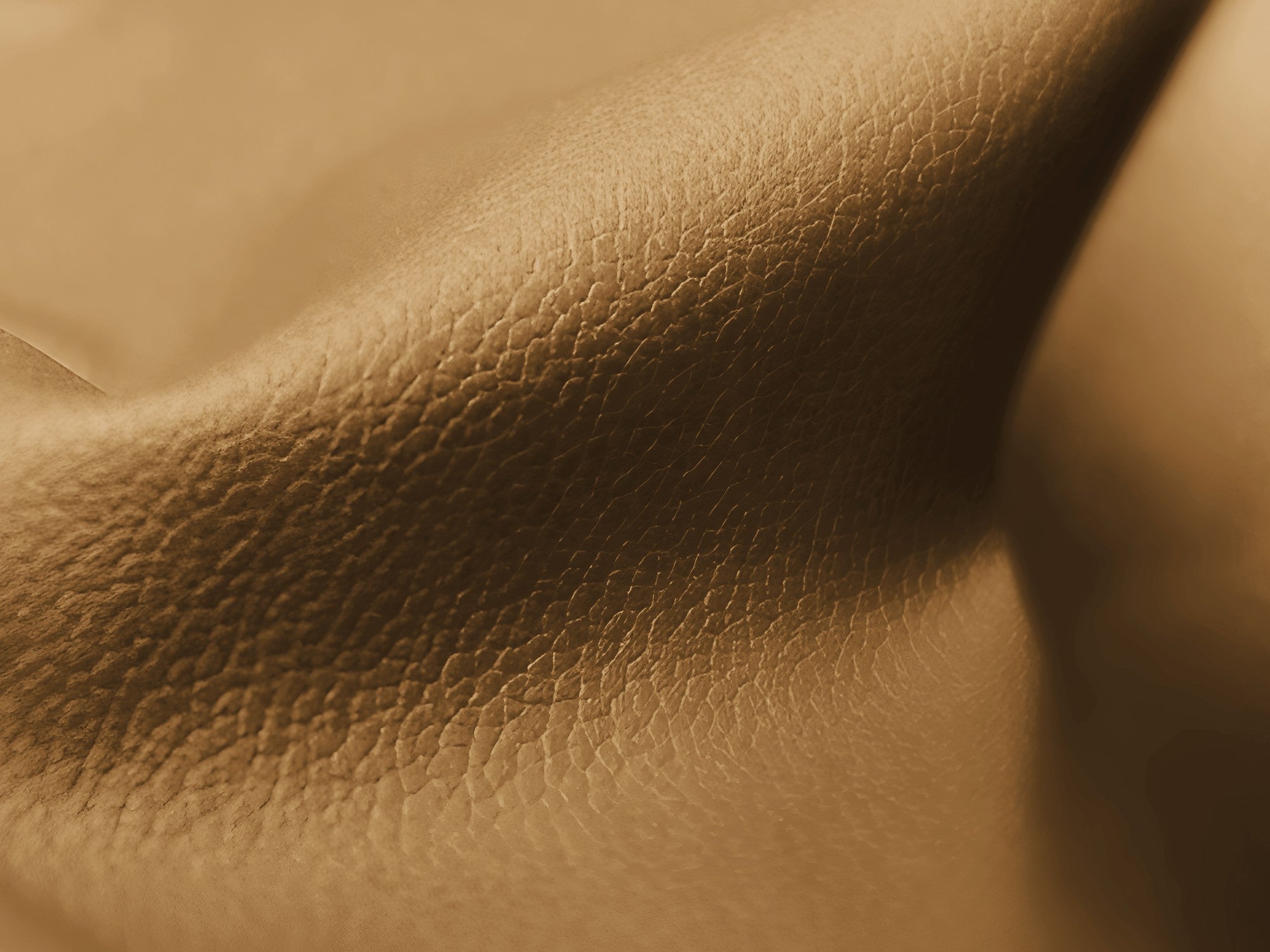 Modularer Panoramawinkelsofa ALOHA in karamelbraunem Kunstleder