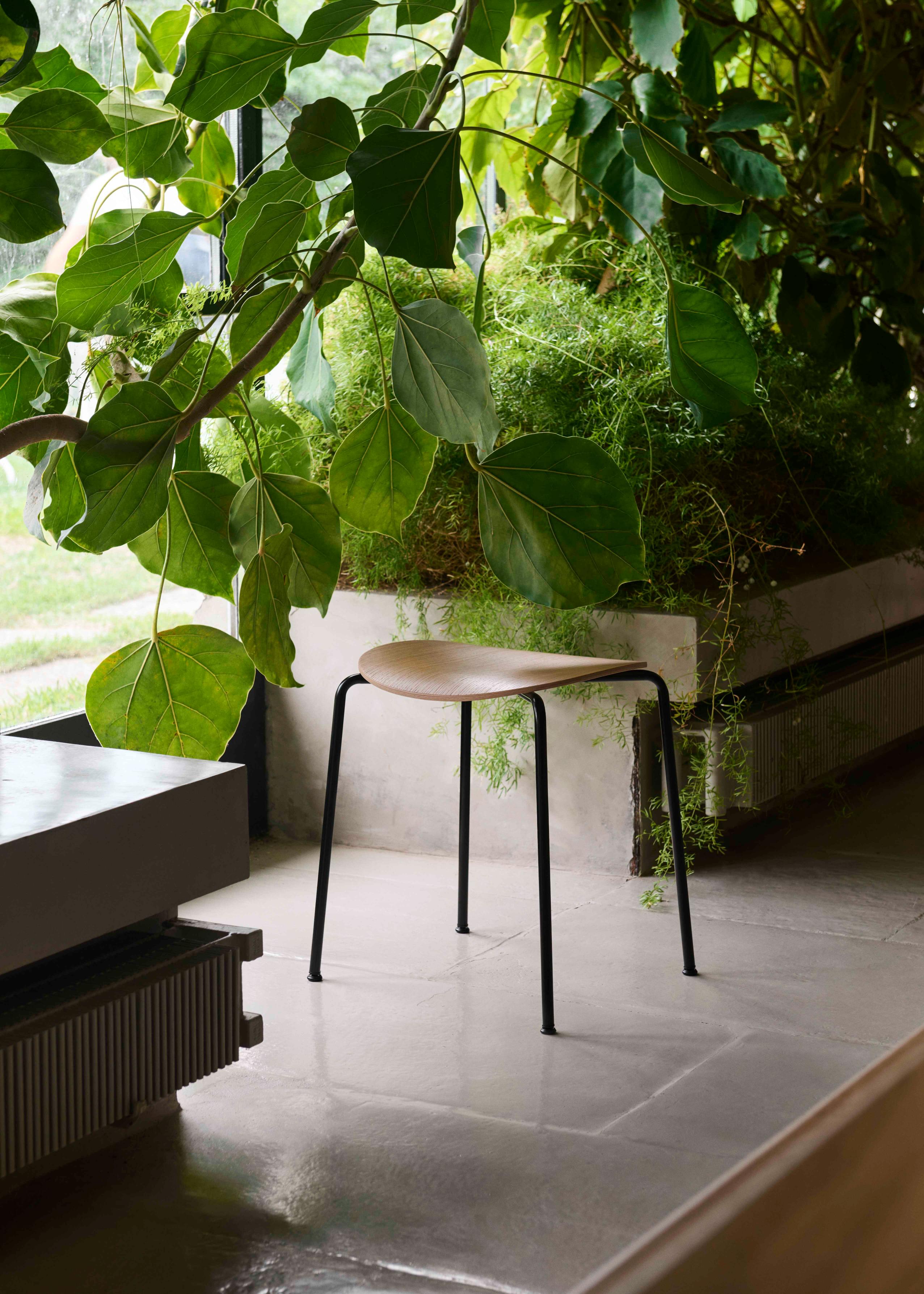 Hocker PAVILION AV36 aus schwarzem Eichenholz mit schwarzem Stahlgestell