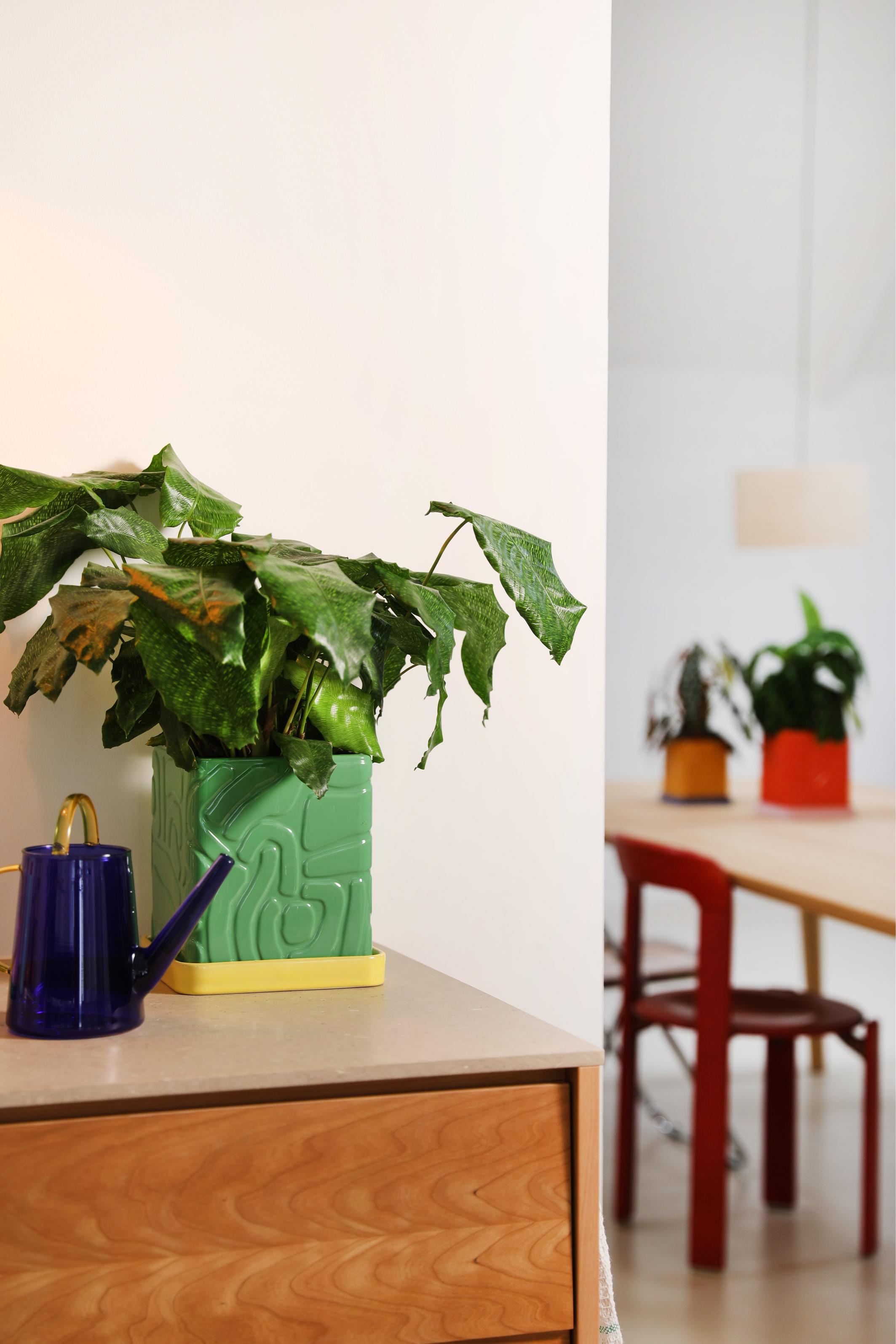 TRIBE pot in green with a yellow saucer