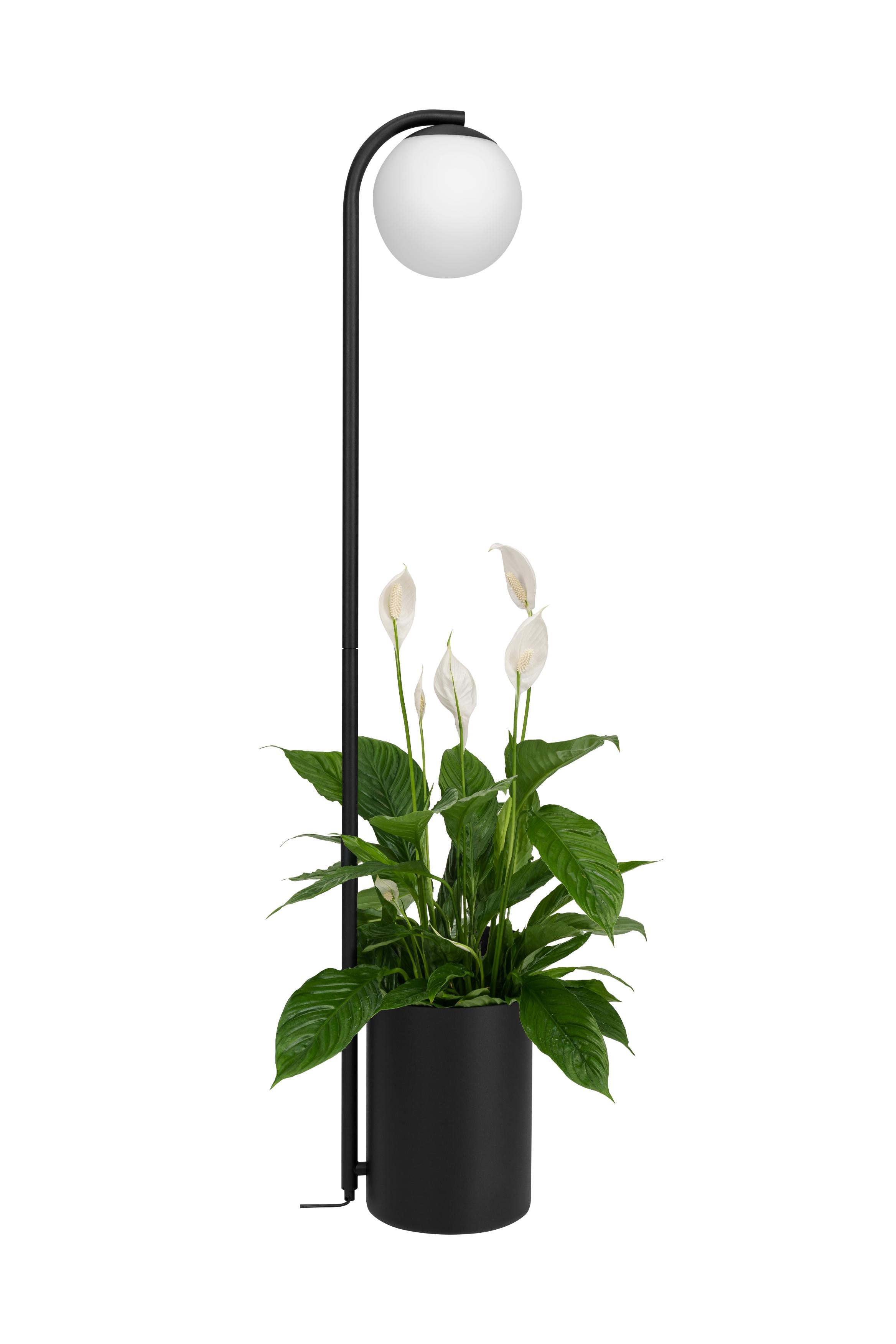 BOTANICA DECO XL black floor lamp with table