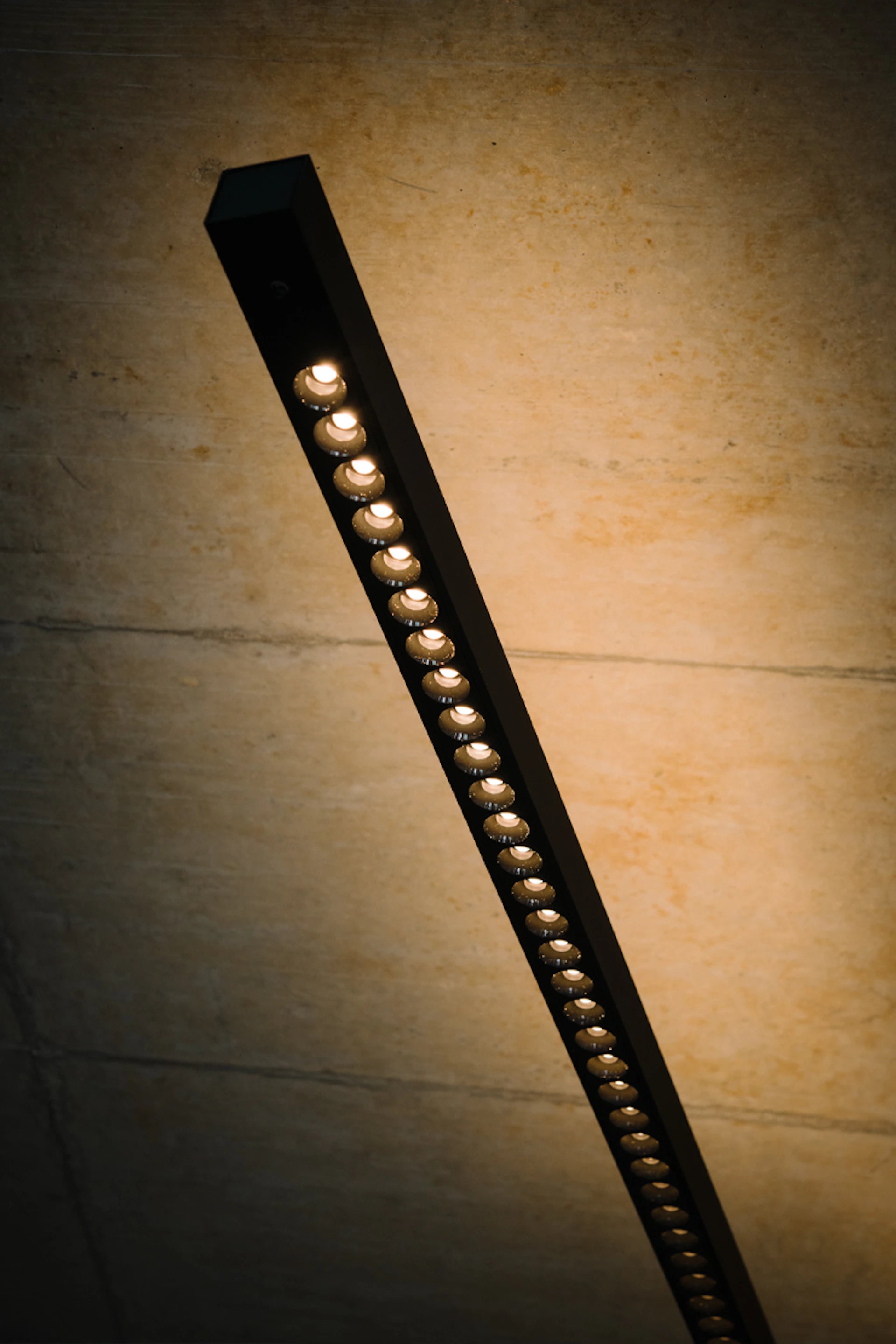 BLACK FLAG PRO Wall Lamp with Arm Black