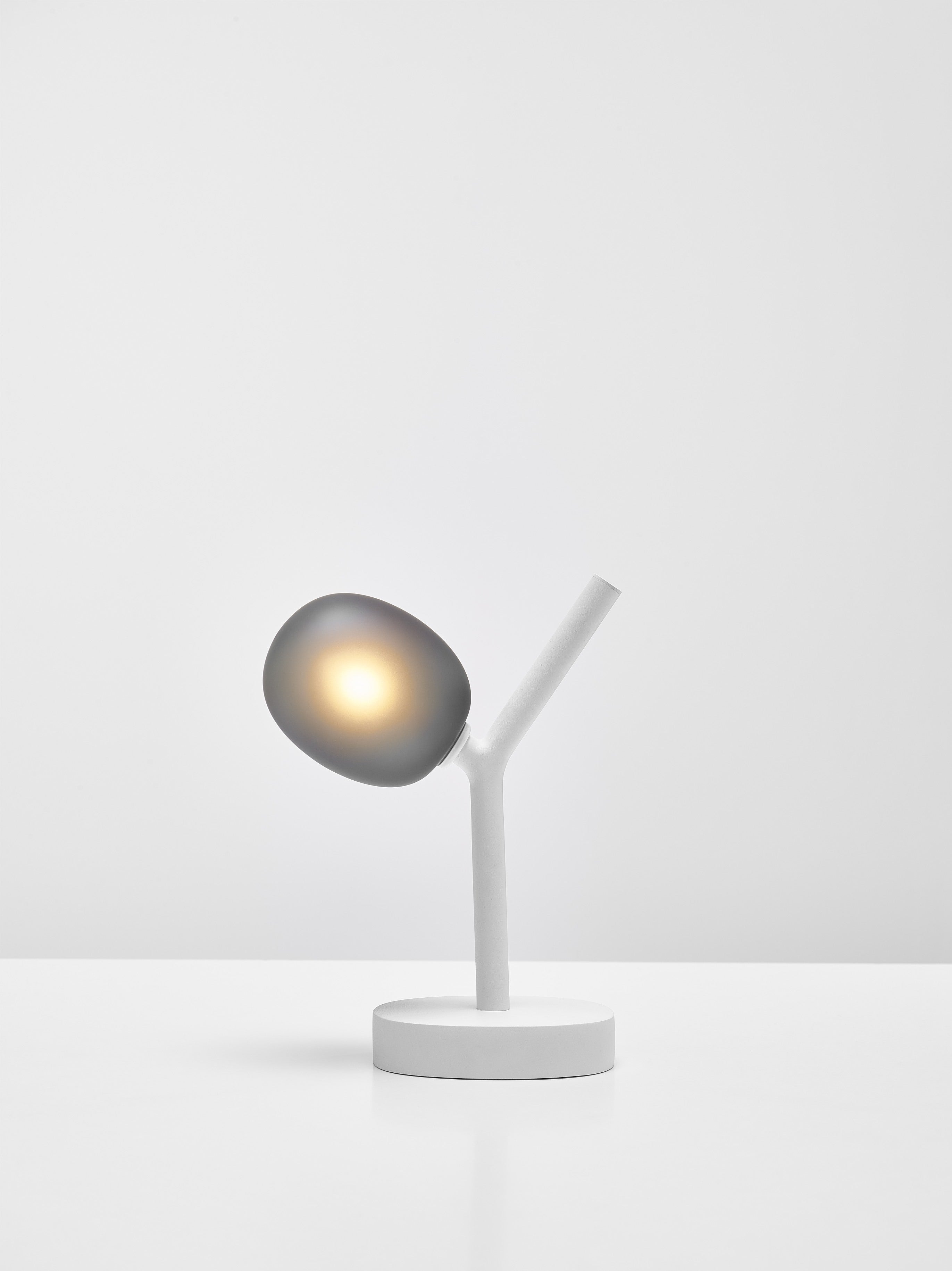 Ivy portable lamp matte glass