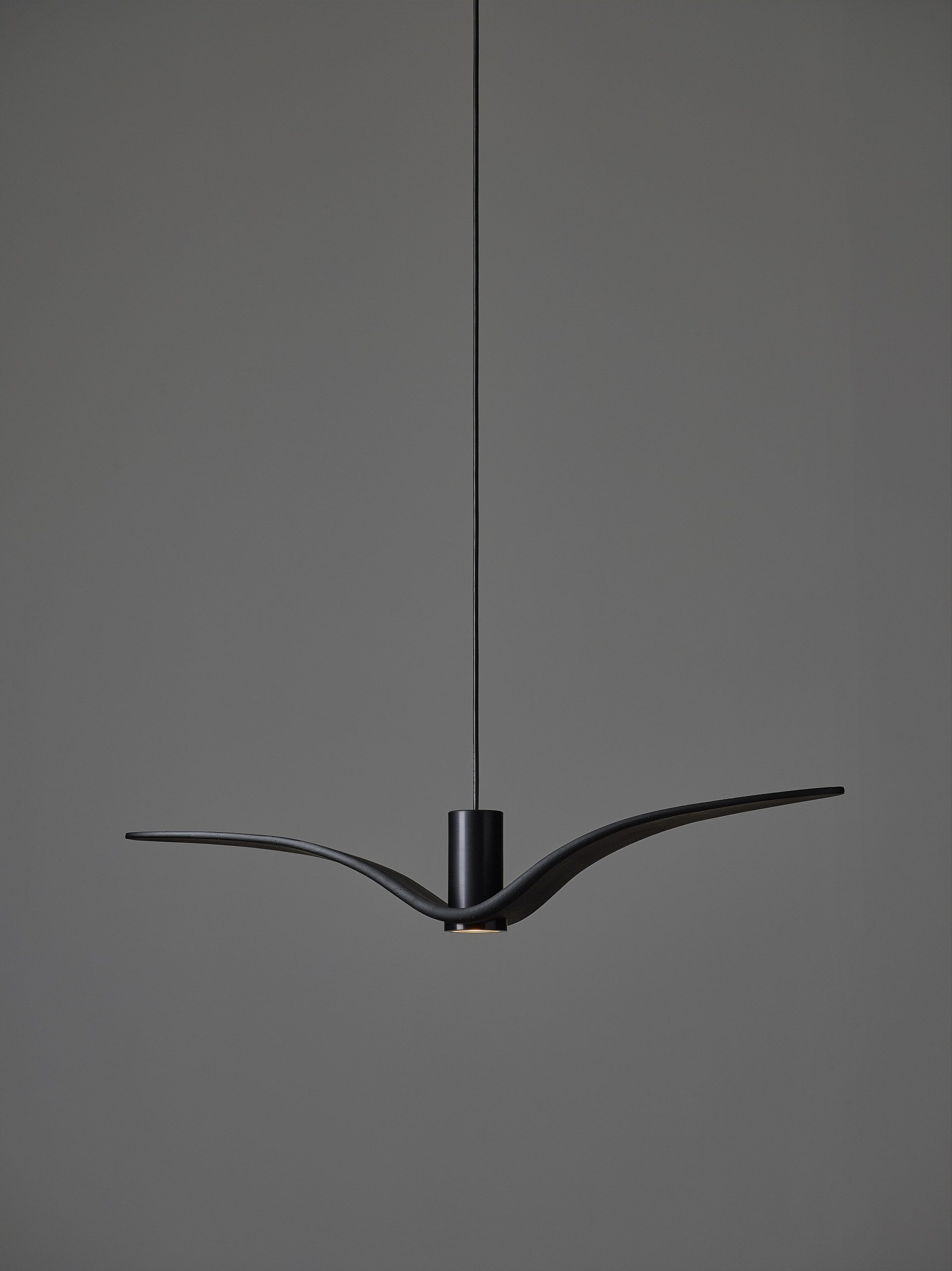 Outer hanging lamp Night Birds Exterior Glass