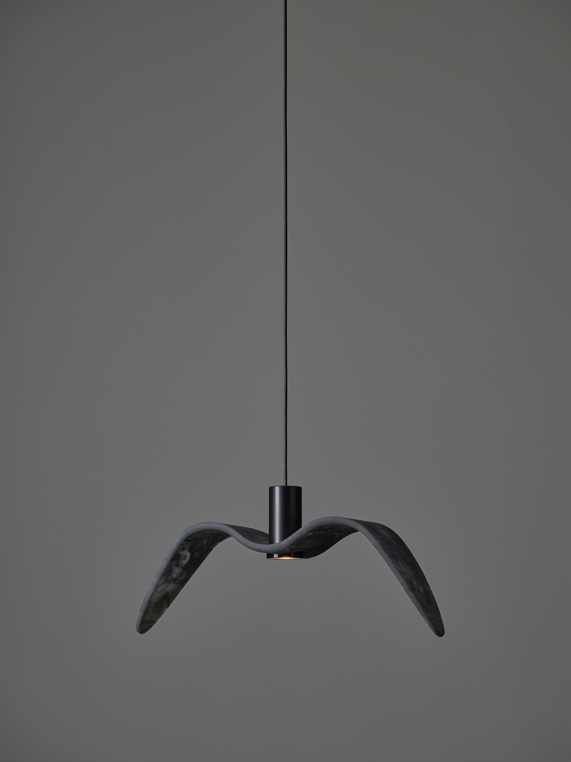 Outer hanging lamp Night Birds Exterior Glass