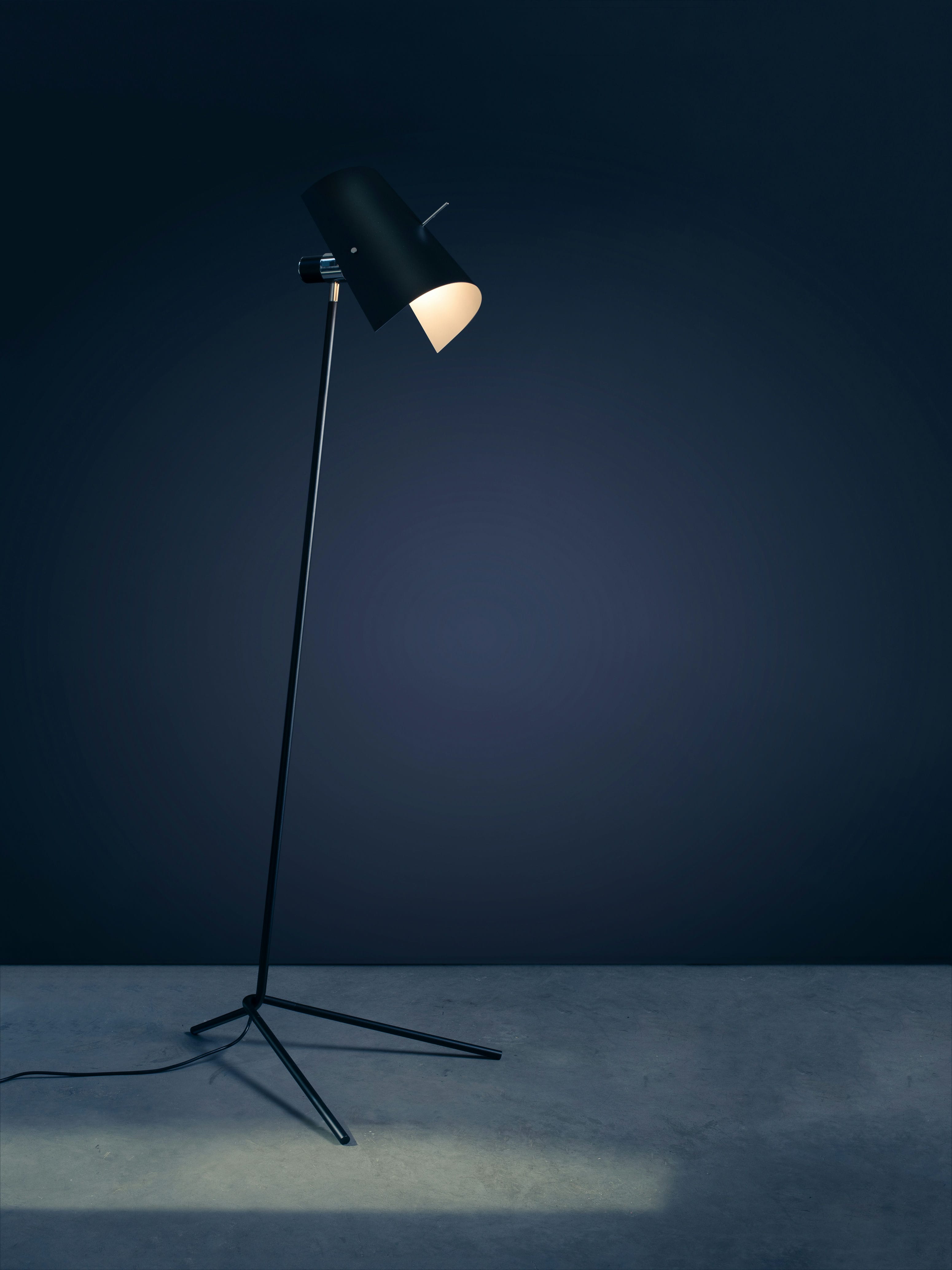CLARITAS black reading floor lamp