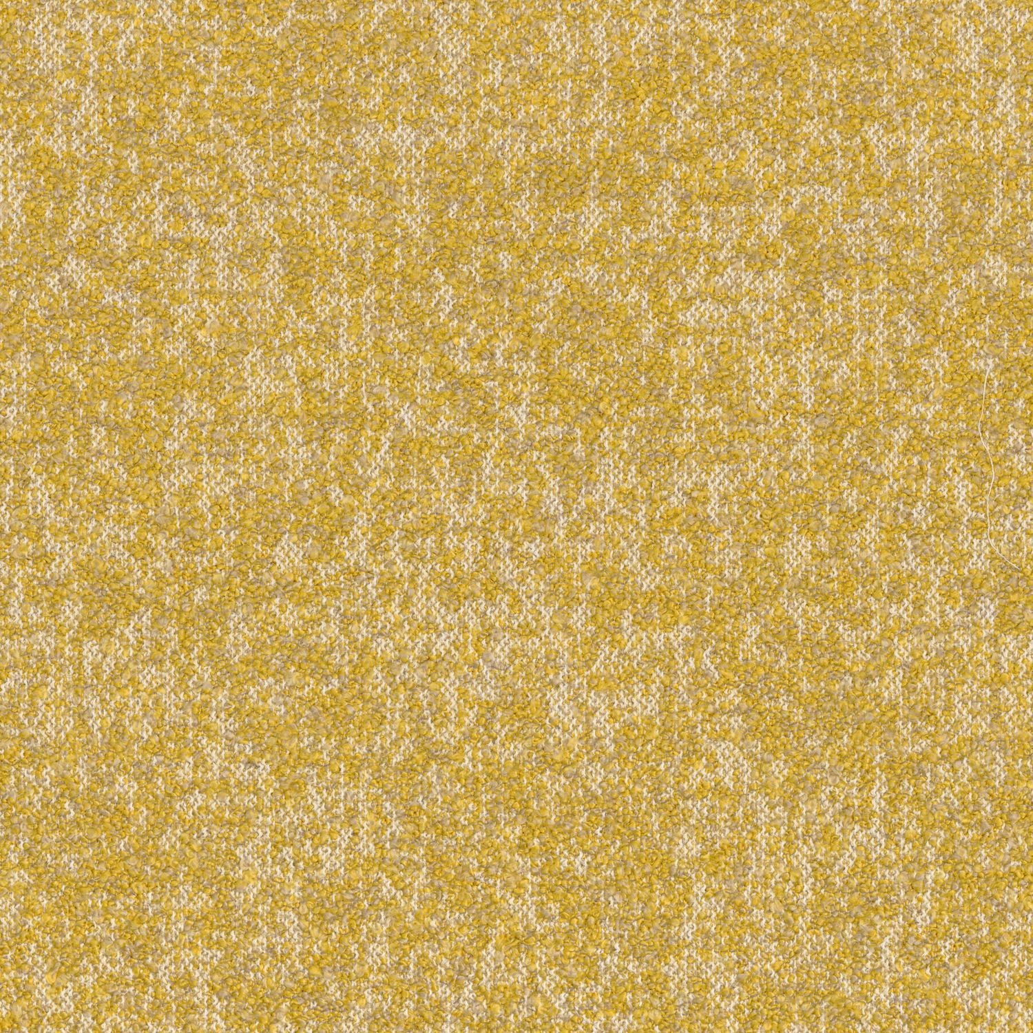 Strukturelle Textiltapete Boucle EXQUIS - MOUTARDE senfgelb