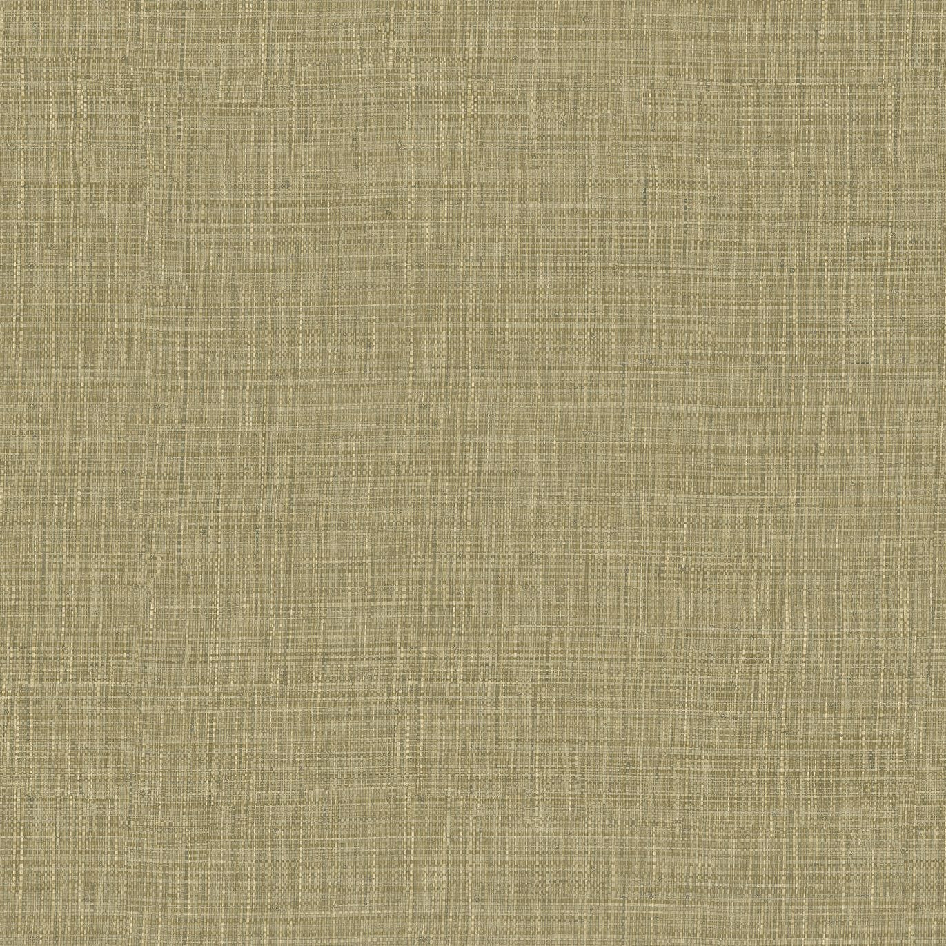 Structural wallpaper imitating canvas SIERRA - CACTUS cactus green