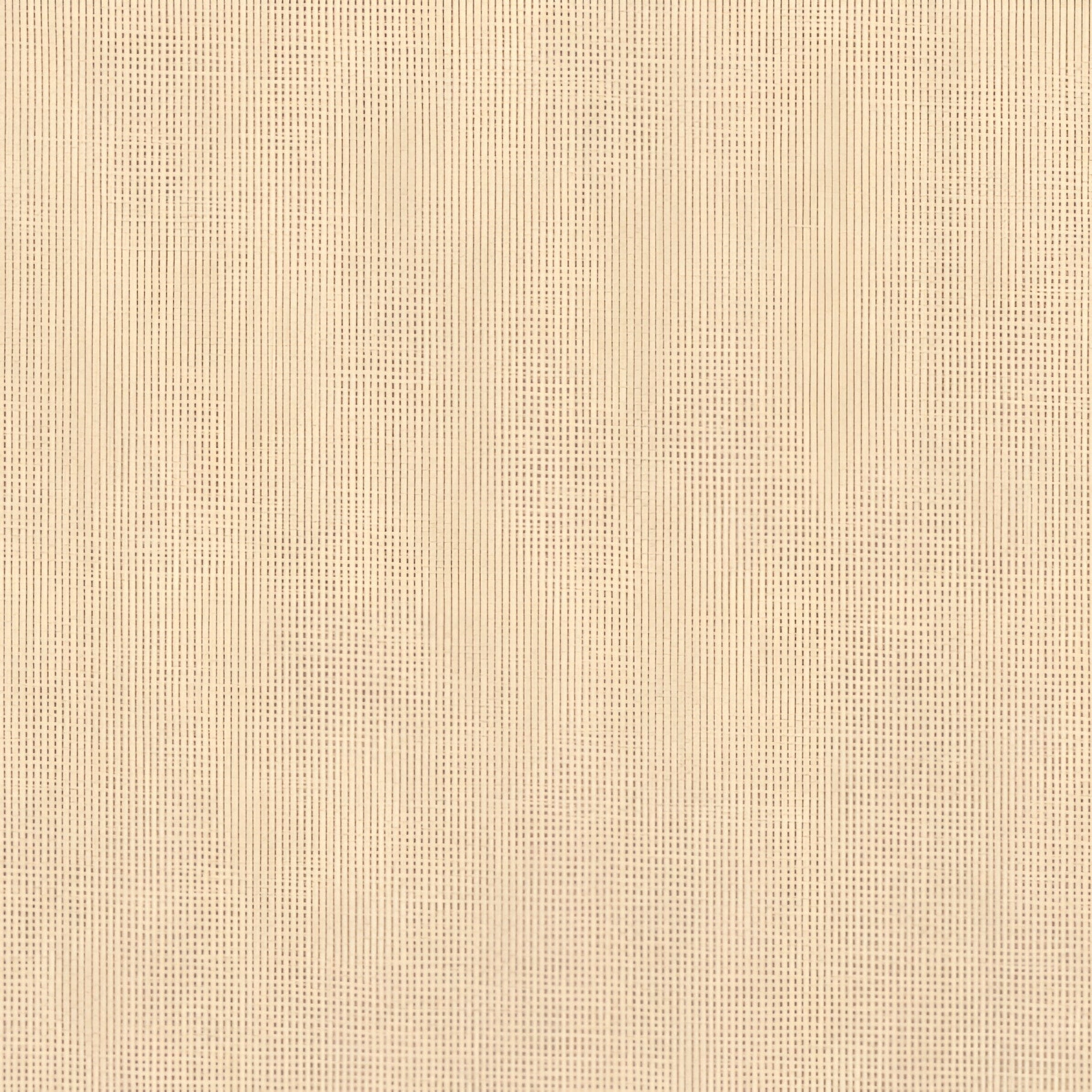 Strukturierte Tapete, die Raphia imitiert VANNORA - COQUILLE sandbeige
