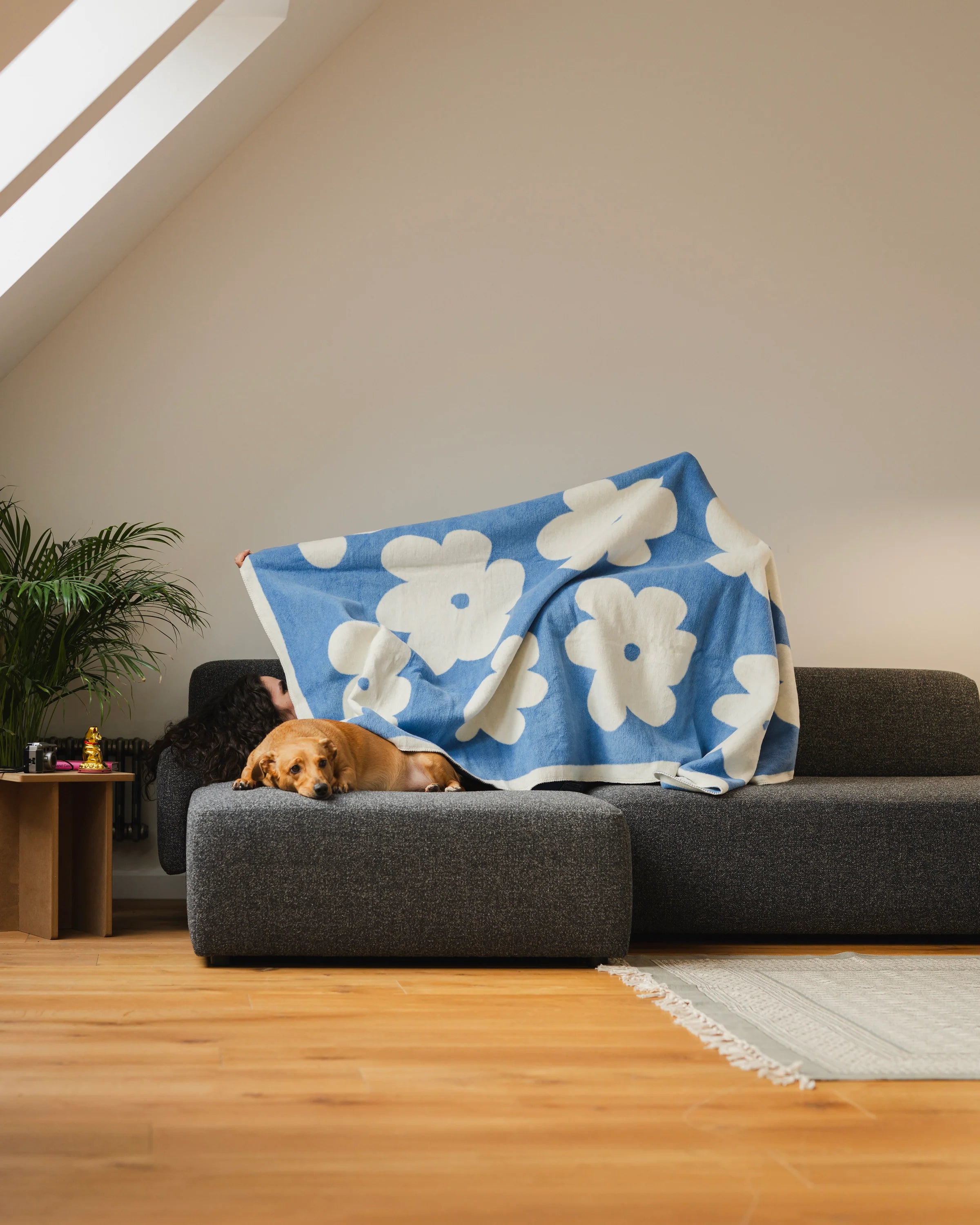 Koc FLO Himmelblau und Ecru