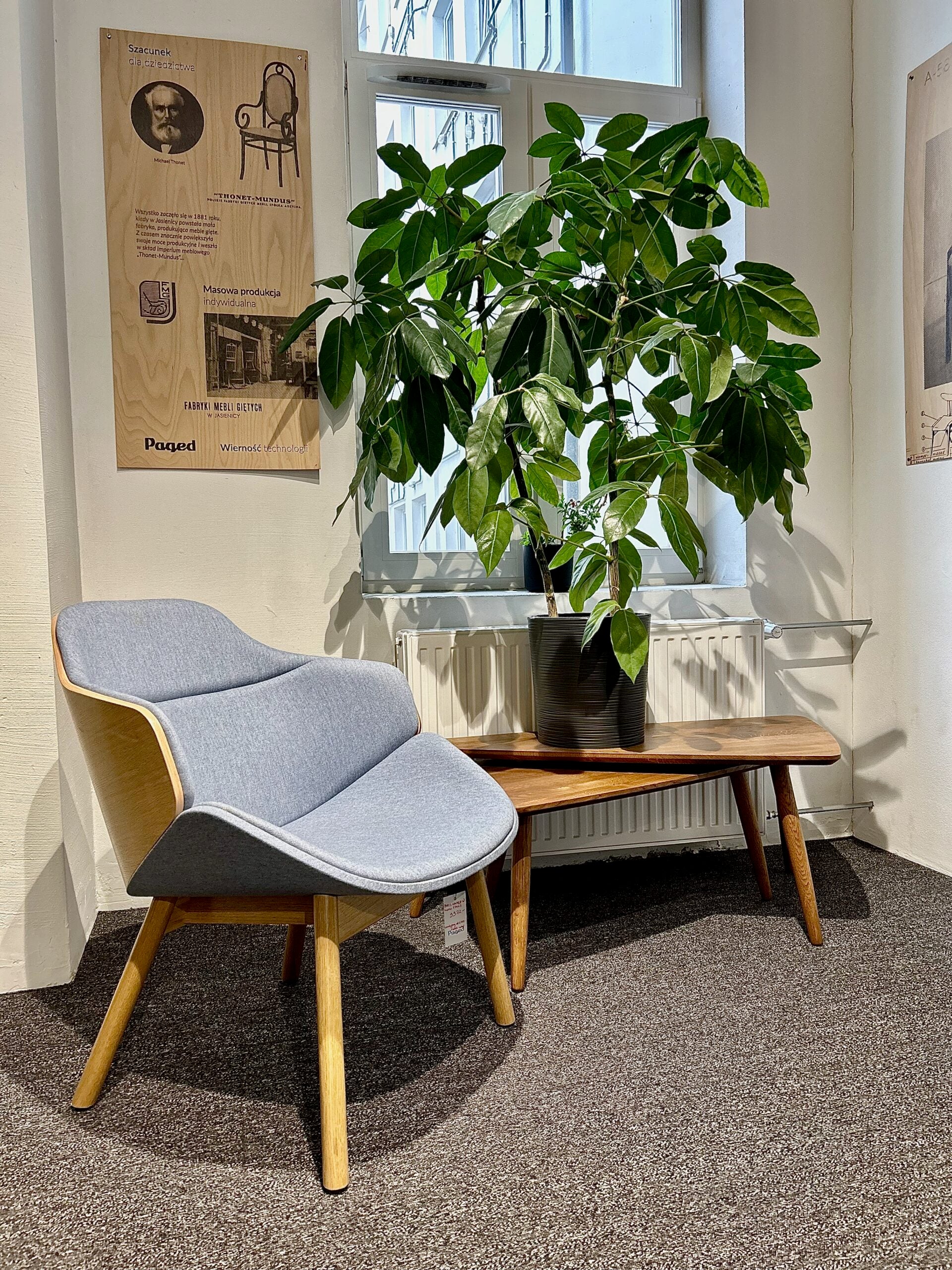 ARIA M-5350 Polstersessel