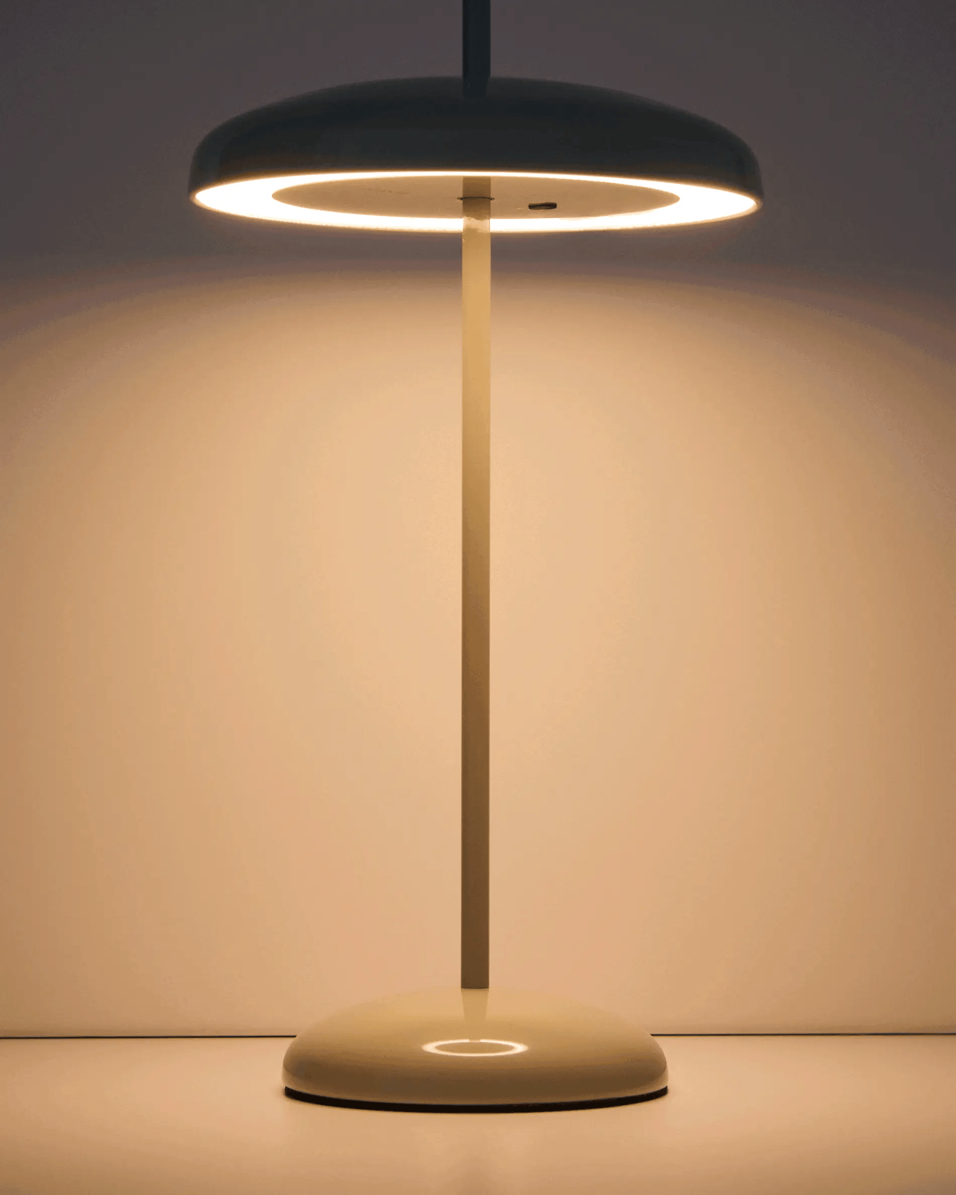 Tragbare Lampe PORTE mintgrün