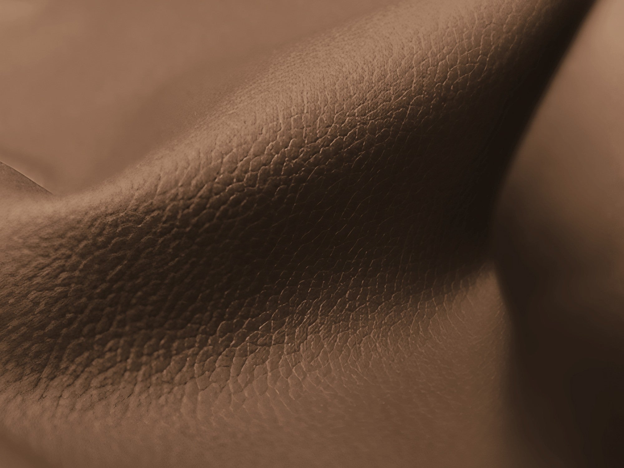 Modular 2-Seater Sofa LOKUA in Chocolate Eco-Leather