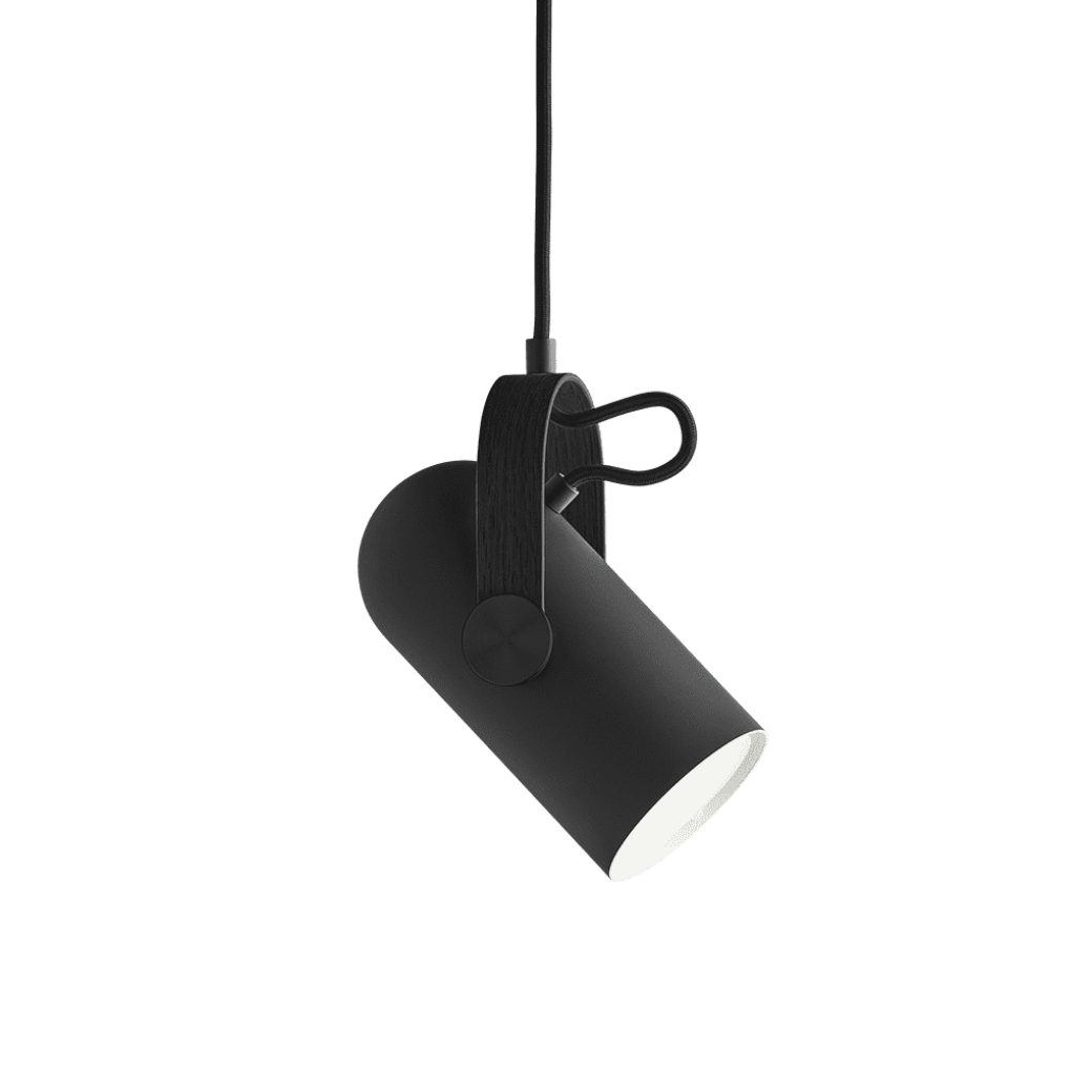 Pendelleuchte MODELL 162 CARRONADE II schwarz