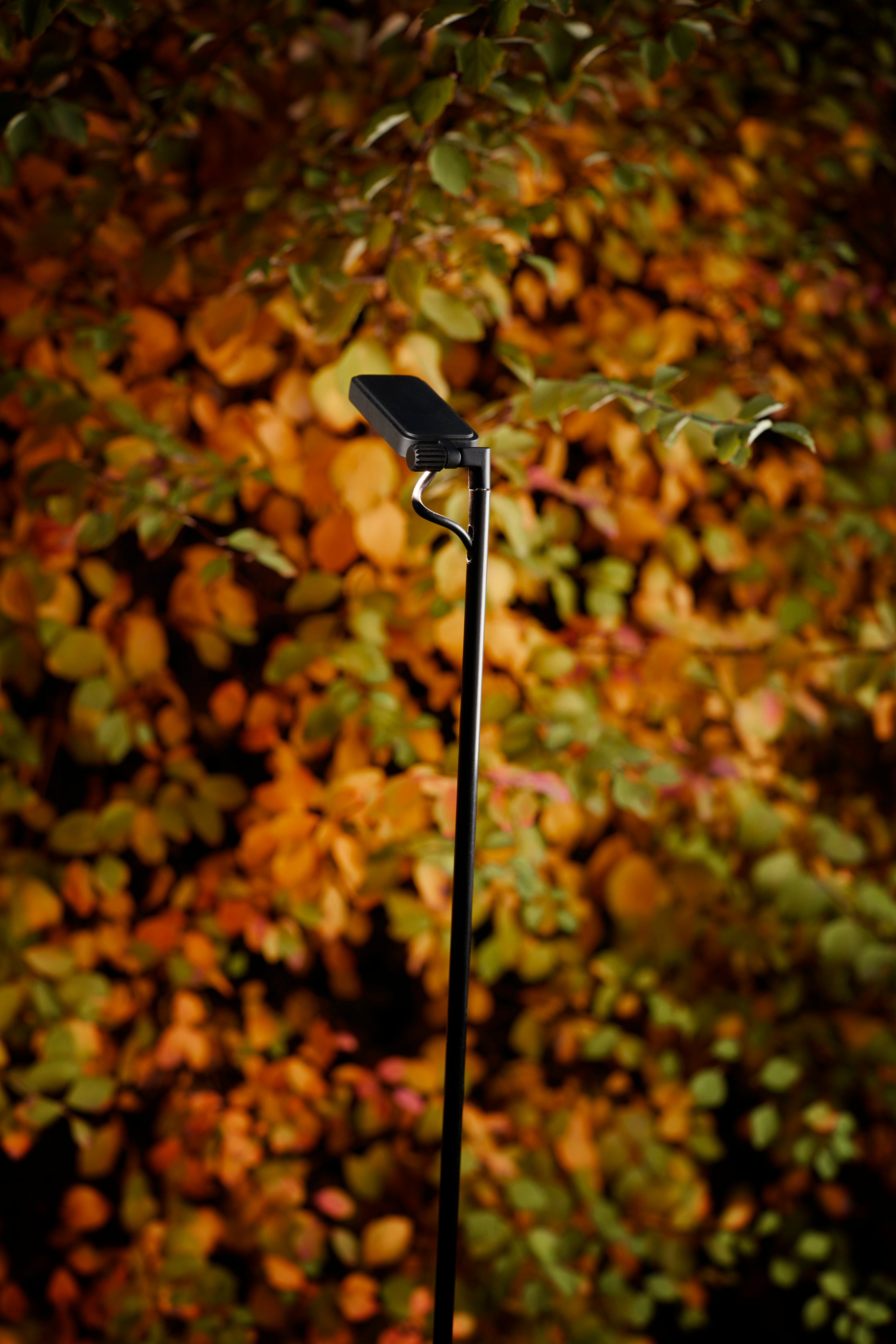 Single outdoor floor lamp FLIA black