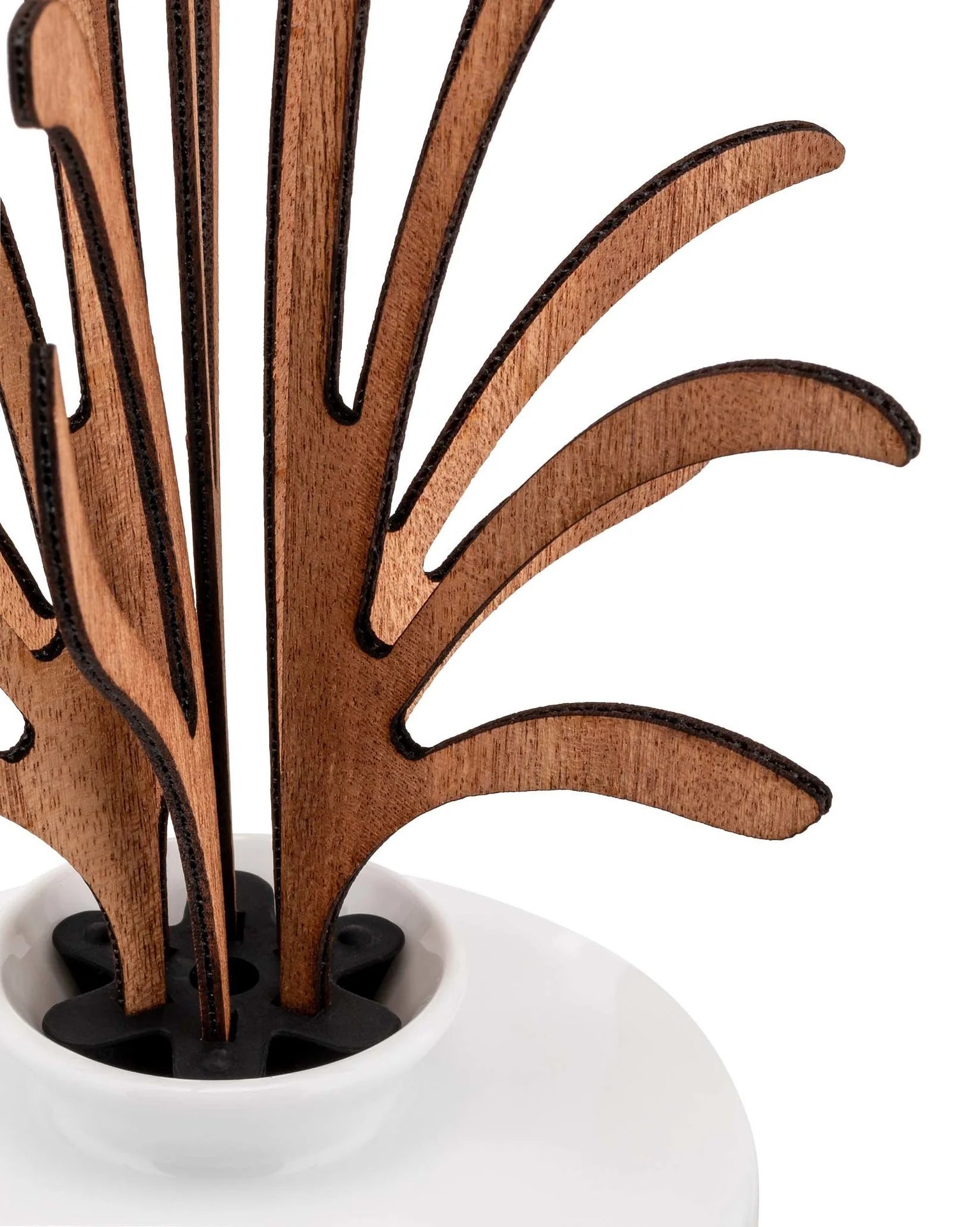 Five Seasons diffuser - grrr notes of incense, cedar tree, moss