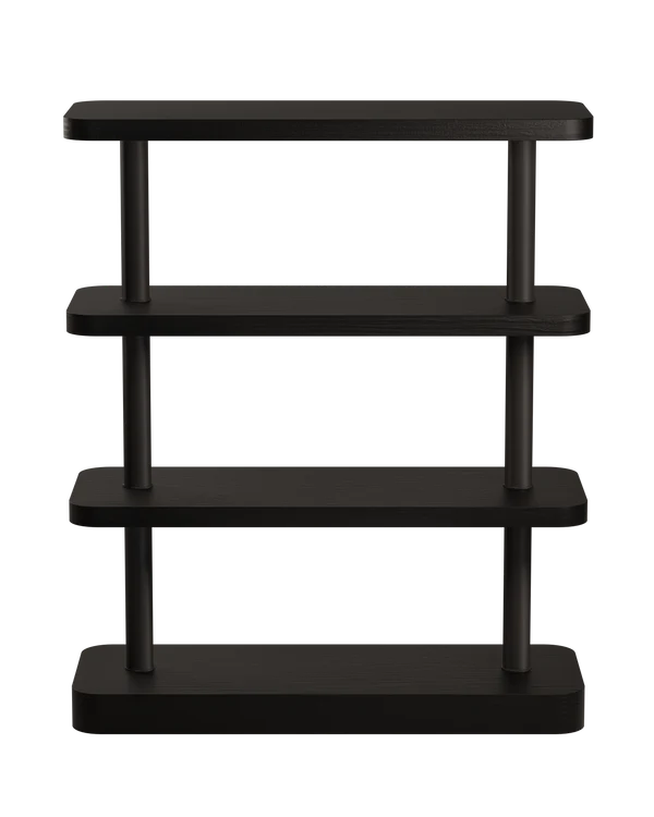 Regal MOD kruczoczarny Furnier mit schwarzen Elementen