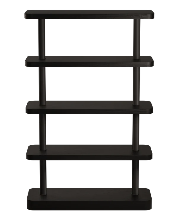 Regal MOD kruczoczarny Furnier mit schwarzen Elementen