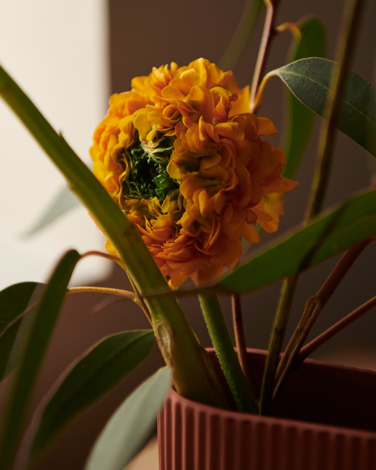 Vase RIDGE Terrakotta