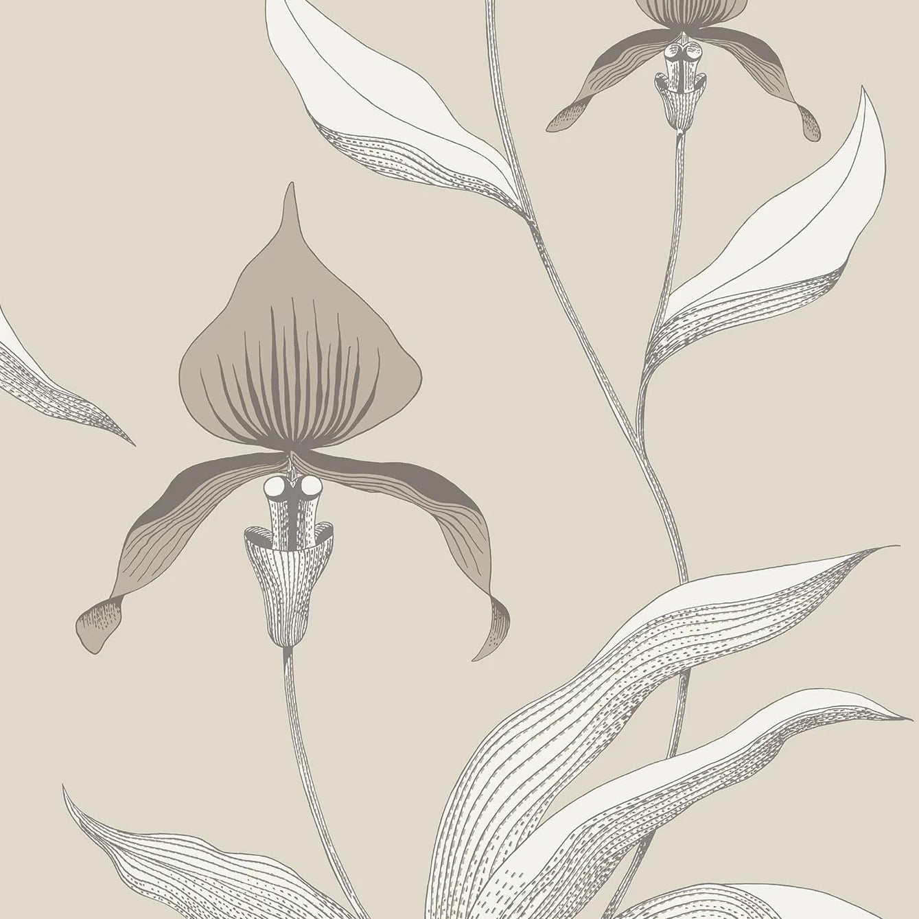 Tapete mit Pflanzenmotiv von Orchideen CONTEMPORARY COLLECTION - ORCHID taupe mit braun
