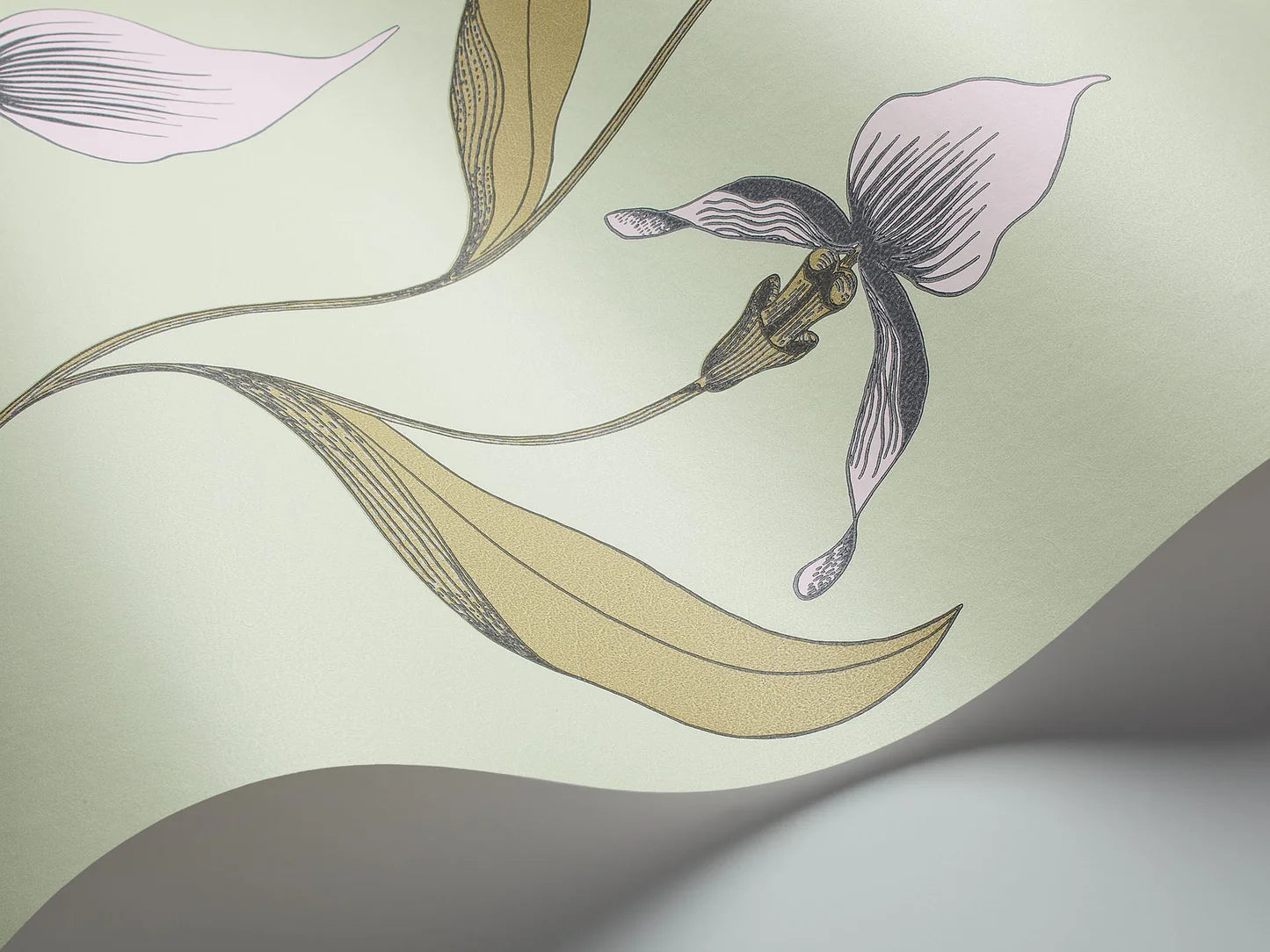 Tapete mit Pflanzenmotiv von Orchideen CONTEMPORARY COLLECTION - ORCHID sandfarben mit grün