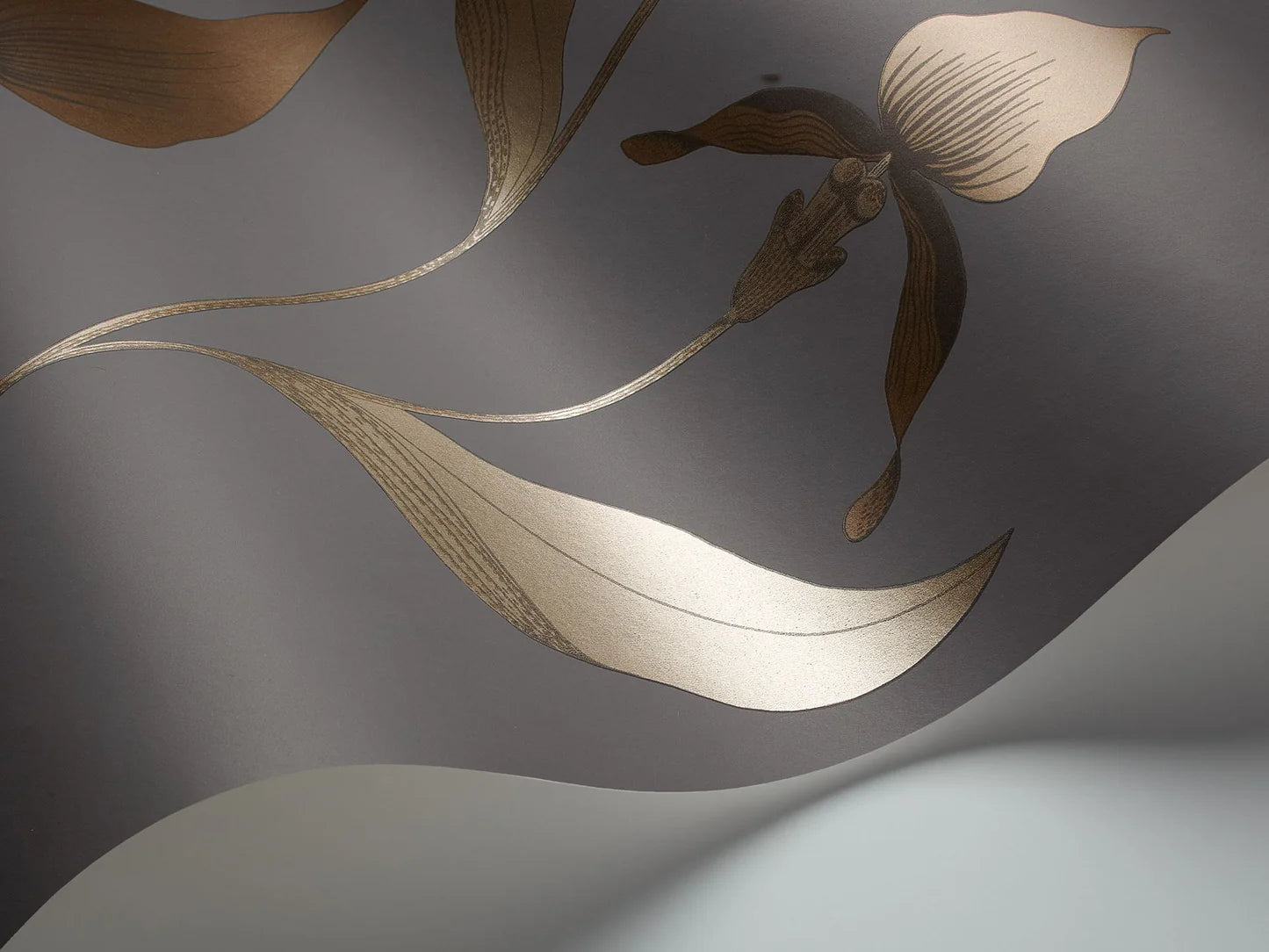 Wallpaper with a plant motif of orchid flowers CONTEMPORARY COLLECTION - ORCHID brown with dark gray