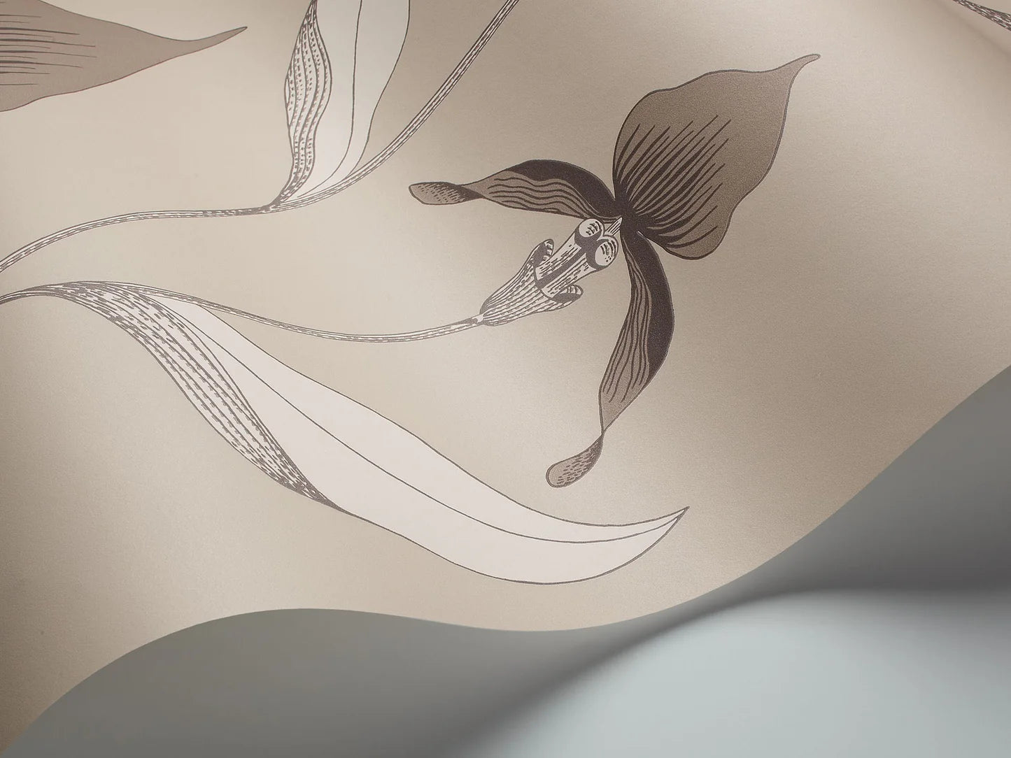 Tapete mit Pflanzenmotiv von Orchideen CONTEMPORARY COLLECTION - ORCHID taupe mit braun