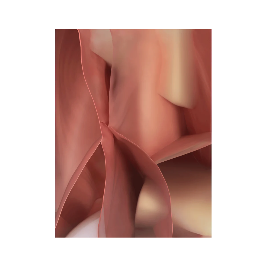 Teppich STUDIO NUCLEO rosa