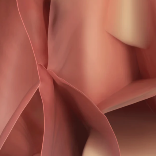 Teppich STUDIO NUCLEO rosa