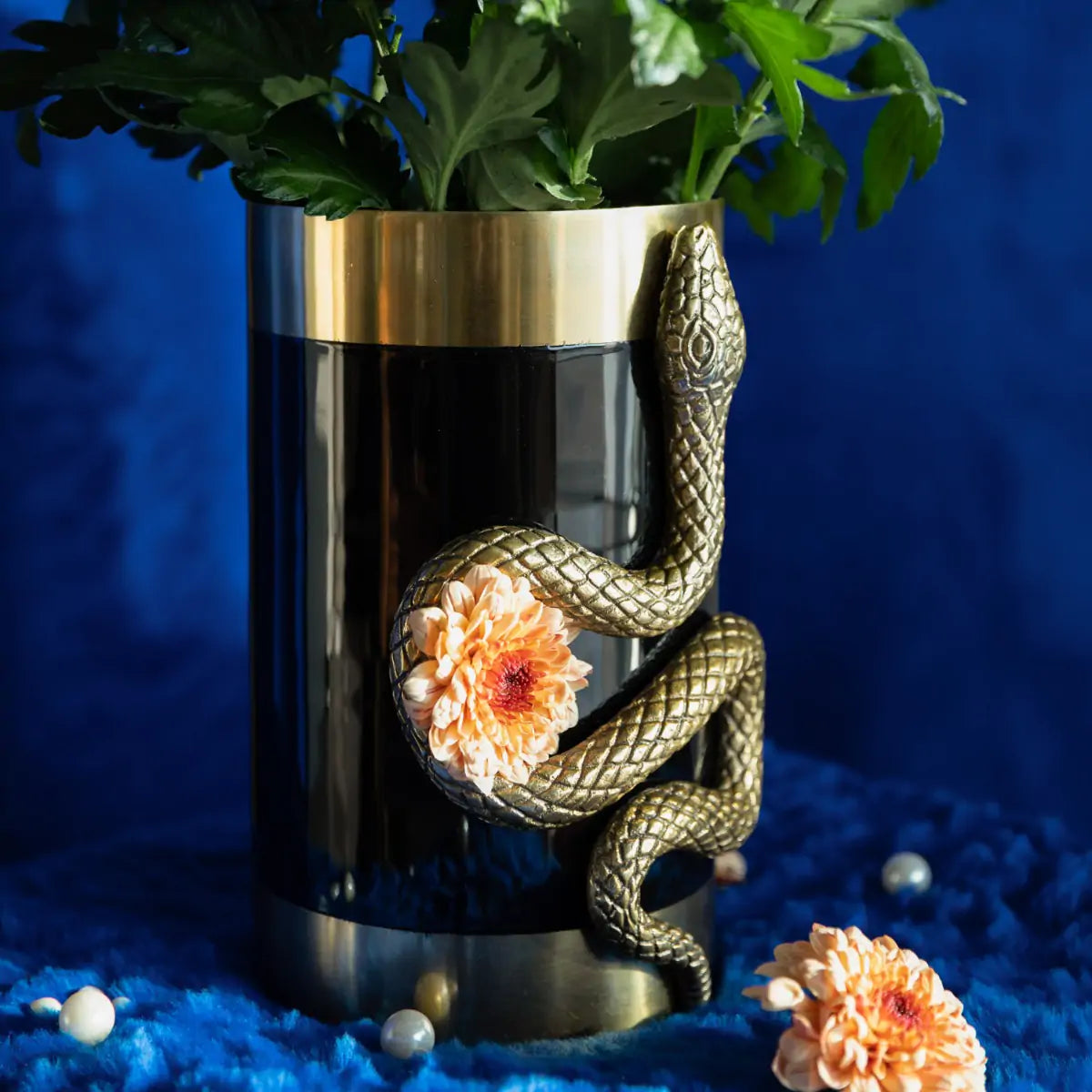 NEVER HURT A SNAKE VASE schwarz mit gold