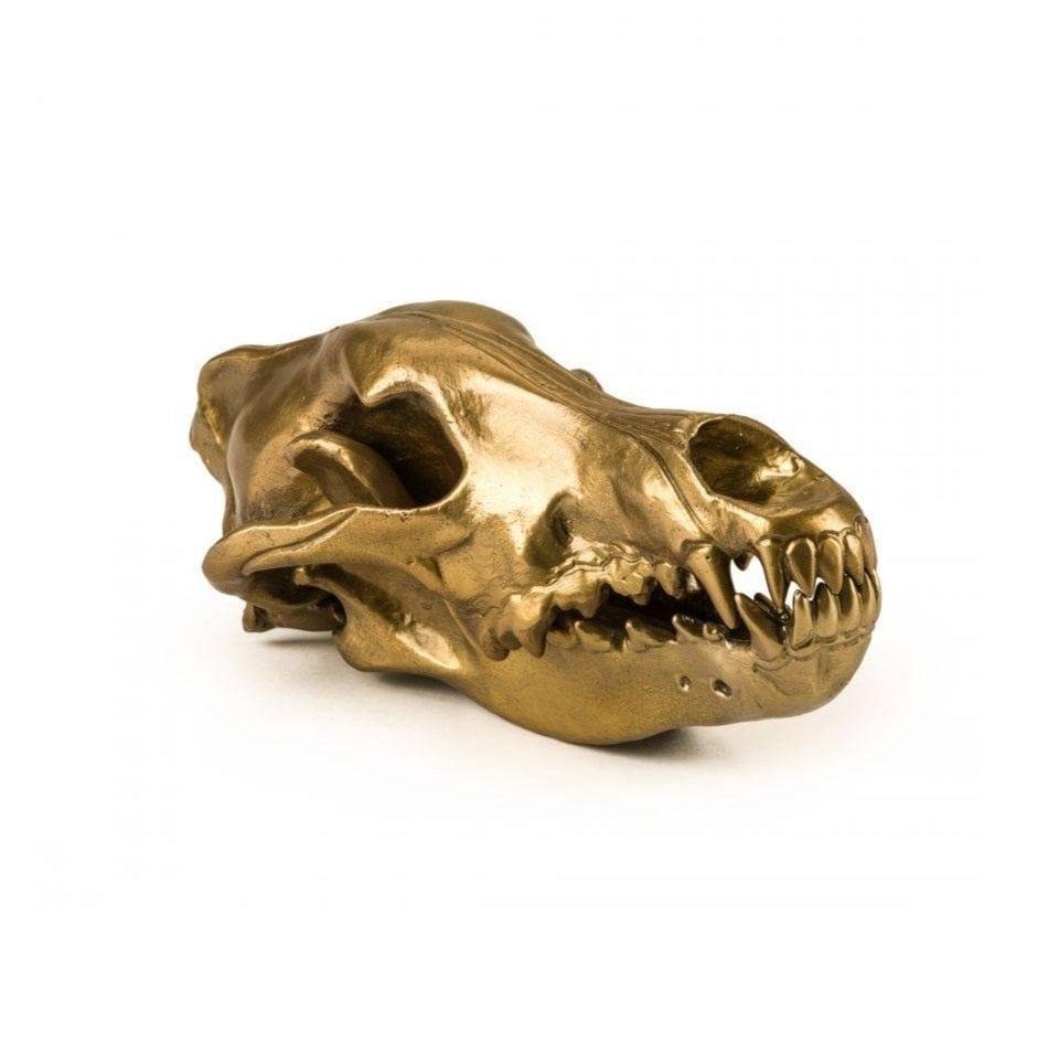 Dekoracja WUNDERKAMMER WOLF SKULL złoty Seletti Eye on Design