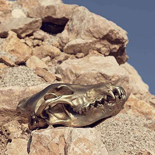 Dekoracja WUNDERKAMMER WOLF SKULL złoty Seletti Eye on Design