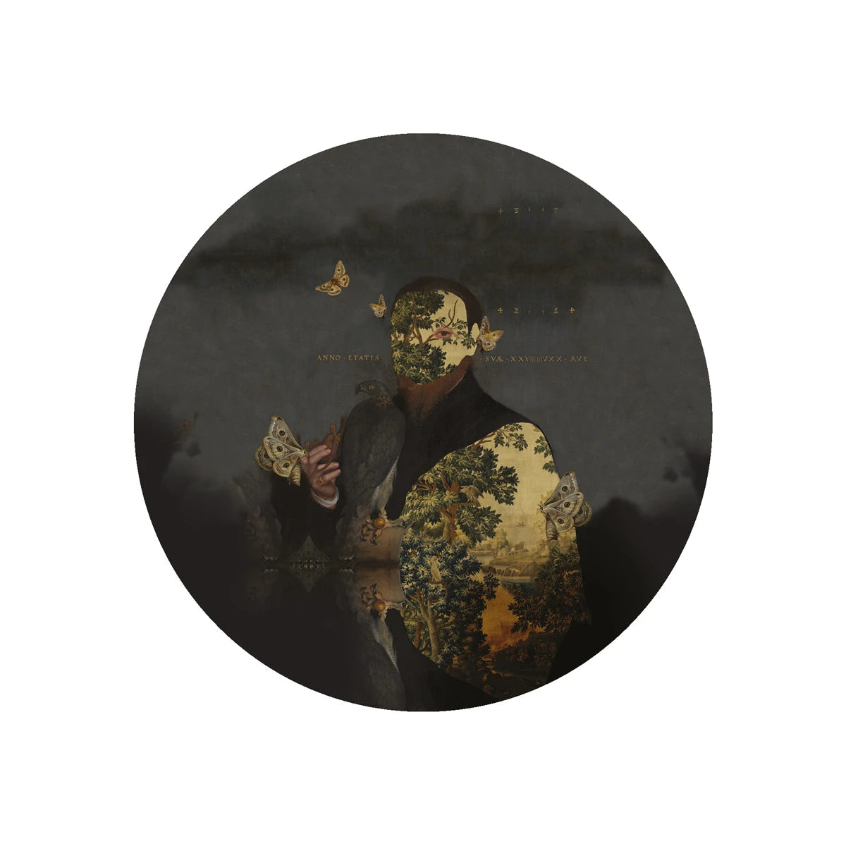 Wall Lamp DOTS LIGHTING - GENTLEMAN MOTH Dark Gray