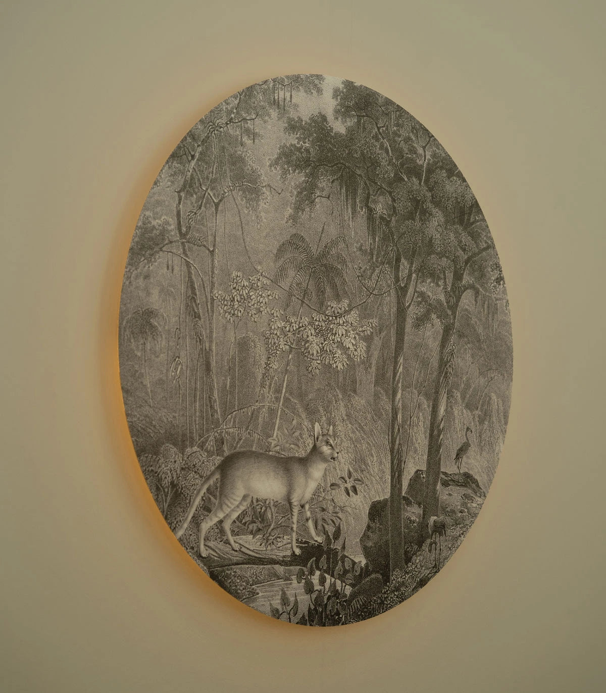 Wall Lamp DOTS LIGHTING - JUNGLE CAT gray