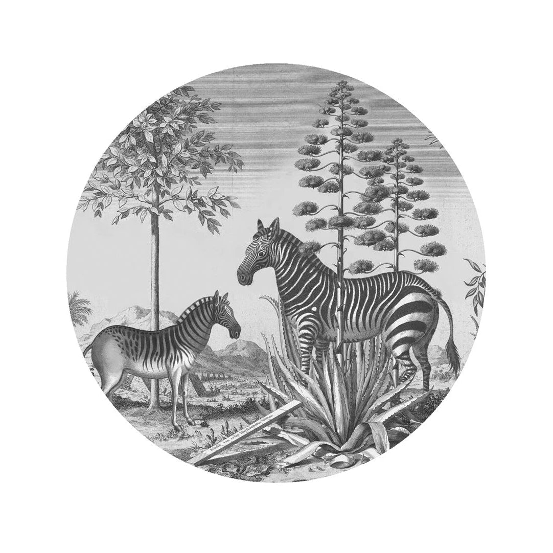 Wandbild in Kreisform DOTS - ZEBRA AUF AGAVE schwarz-weiß