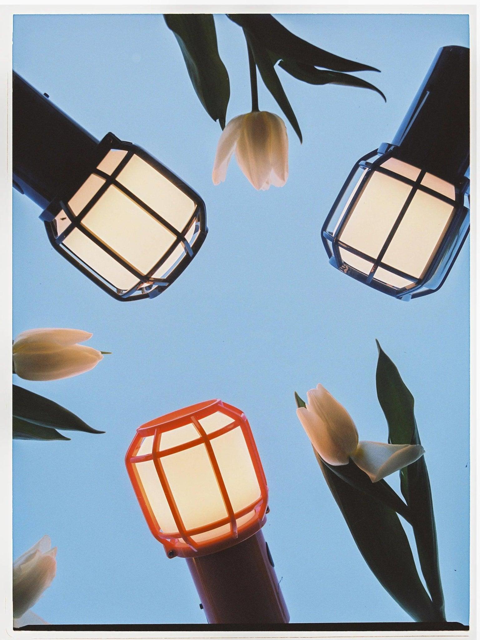 Lampa akumulatorowa CHISPA zielony Marset Eye on Design