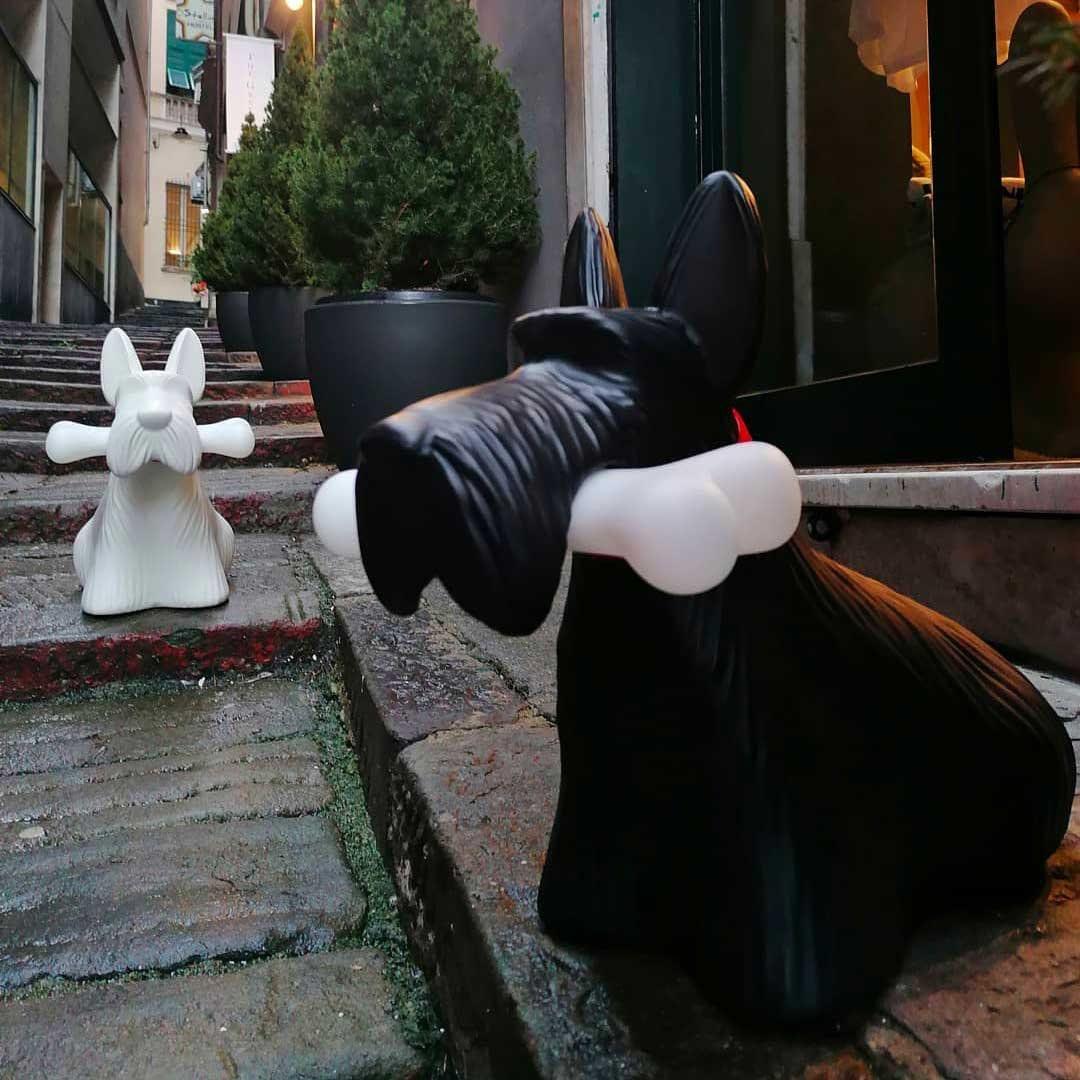 Lampka SCOTTIE czarny Qeeboo Eye on Design