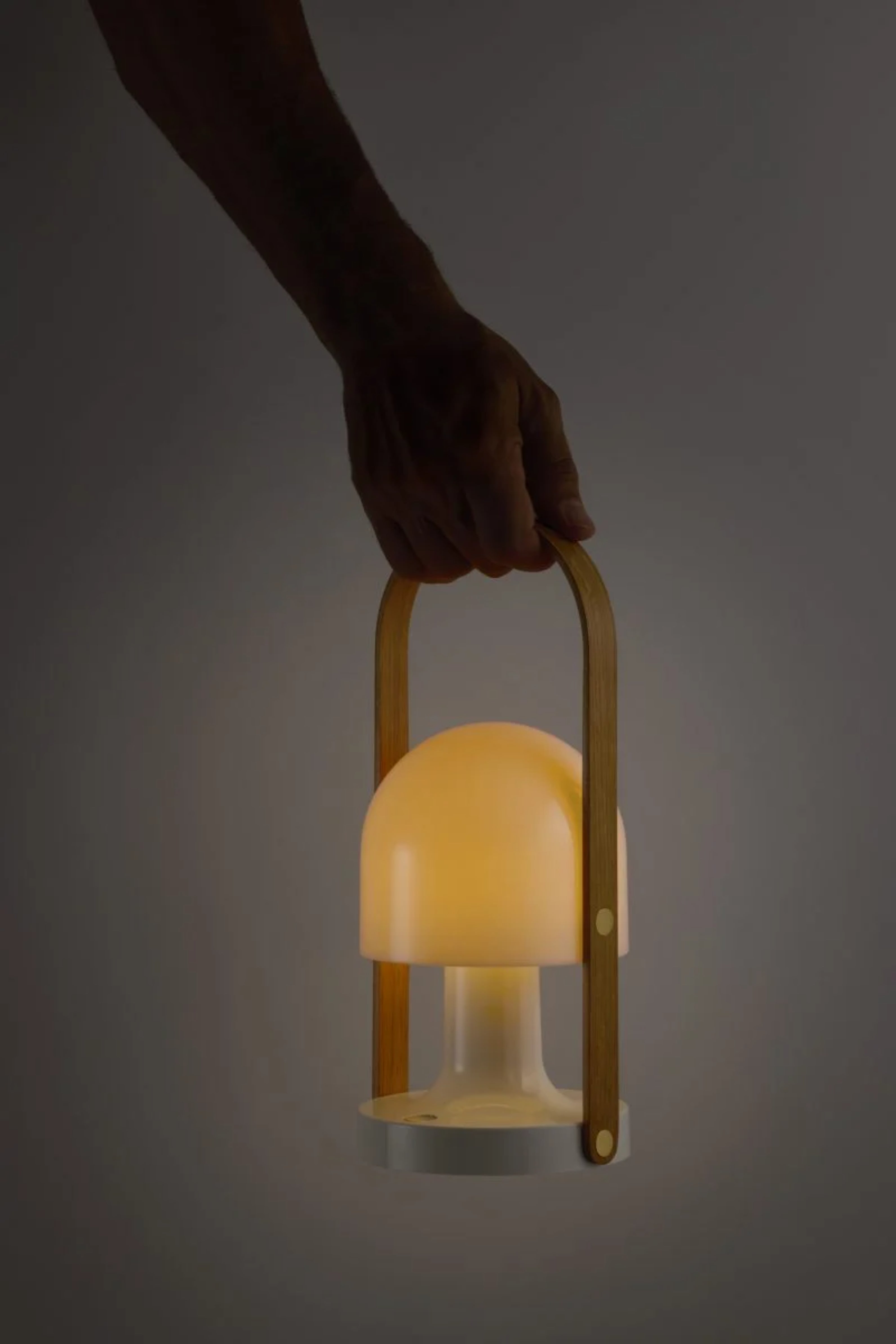 FOLLOWME Portable Lamp in White with Brown