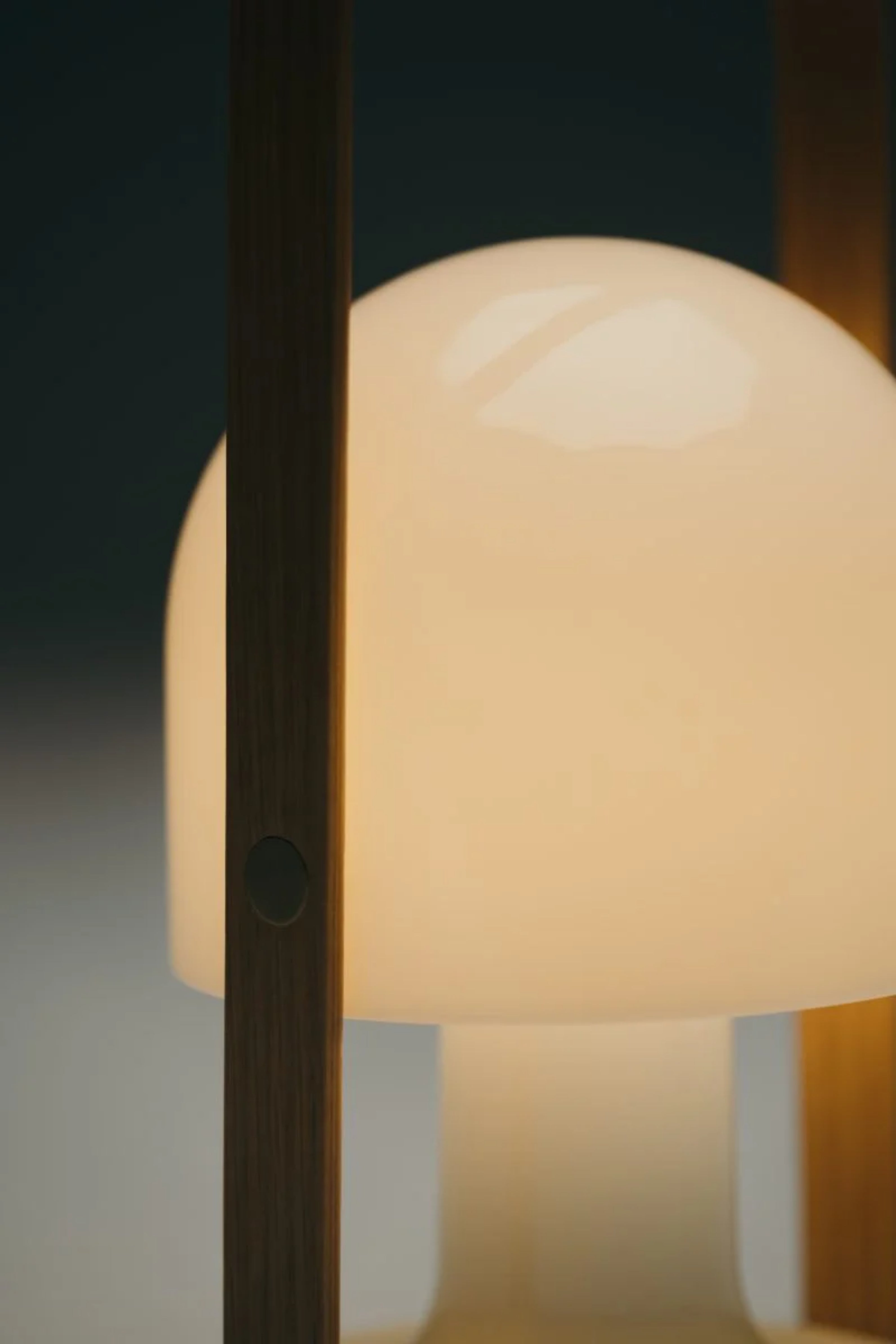 FOLLOWME Portable Lamp in White with Brown