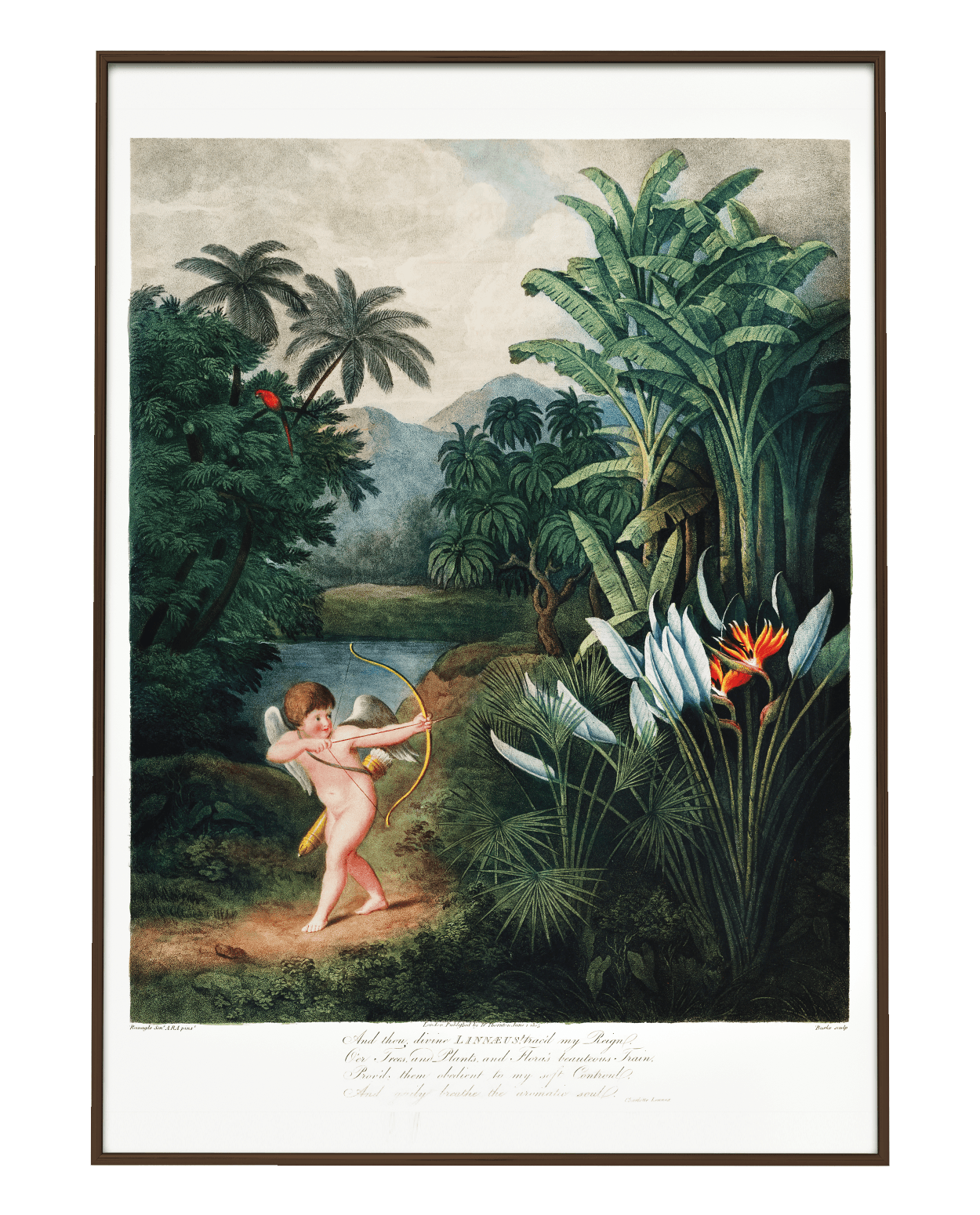 Plakat CUPID Eye on Design Eye on Design