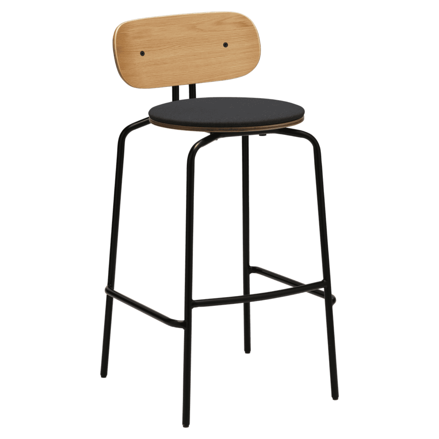 Anthrazit neugieriger Tricker mit einer schwarzen Basis