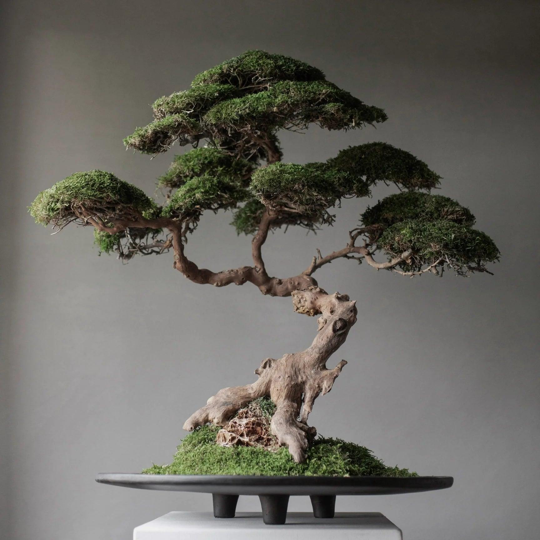 Taca DUCK TRAY ciemnobrązowy 101 Copenhagen Eye on Design