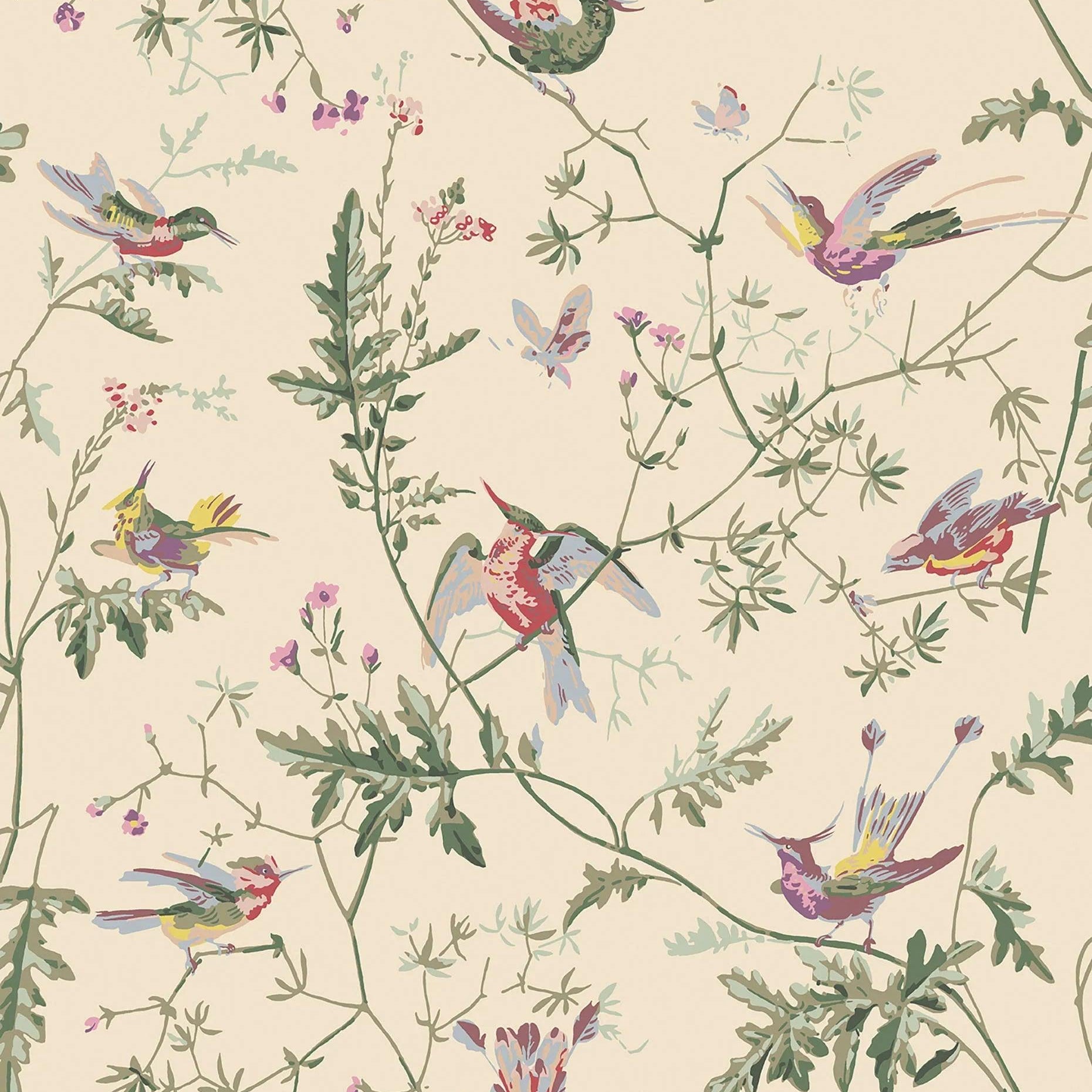 Tapeta ARCHIVE ANTHOLOGY - Hummingbirds oliwkowy na kremowym Cole & Son Eye on Design