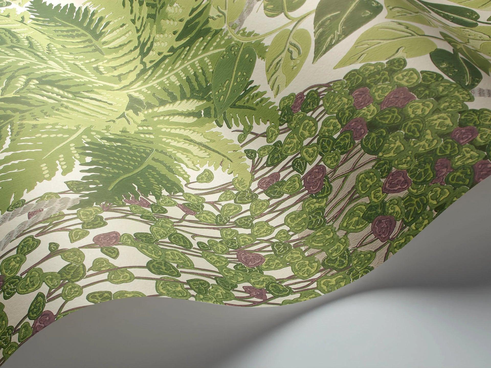 Tapeta BOTANICAL BOTANICA - Fern zielony Cole & Son Eye on Design